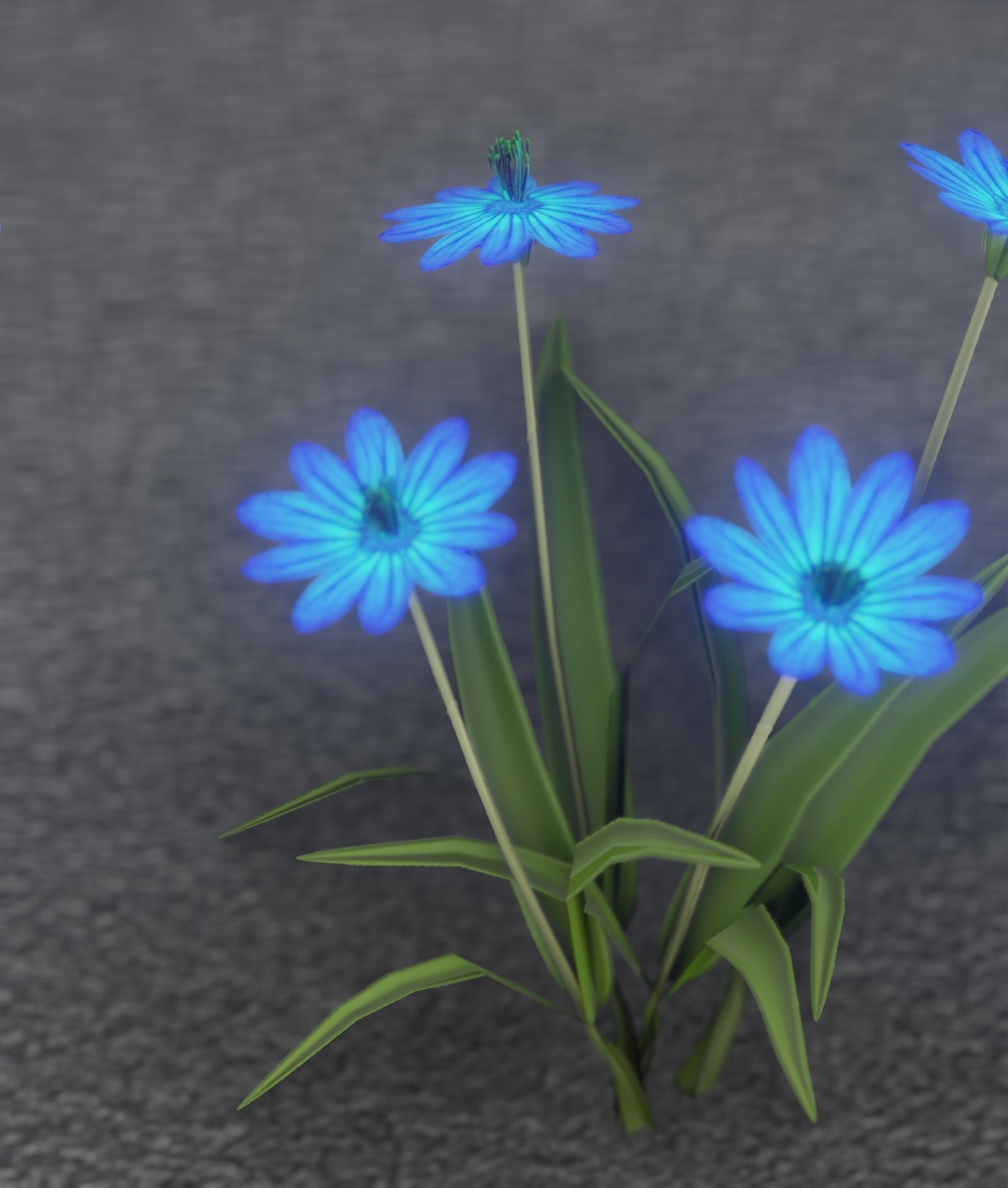 Blue Flowers - Verion 5 - Object 20 Low-poly 3D model_47