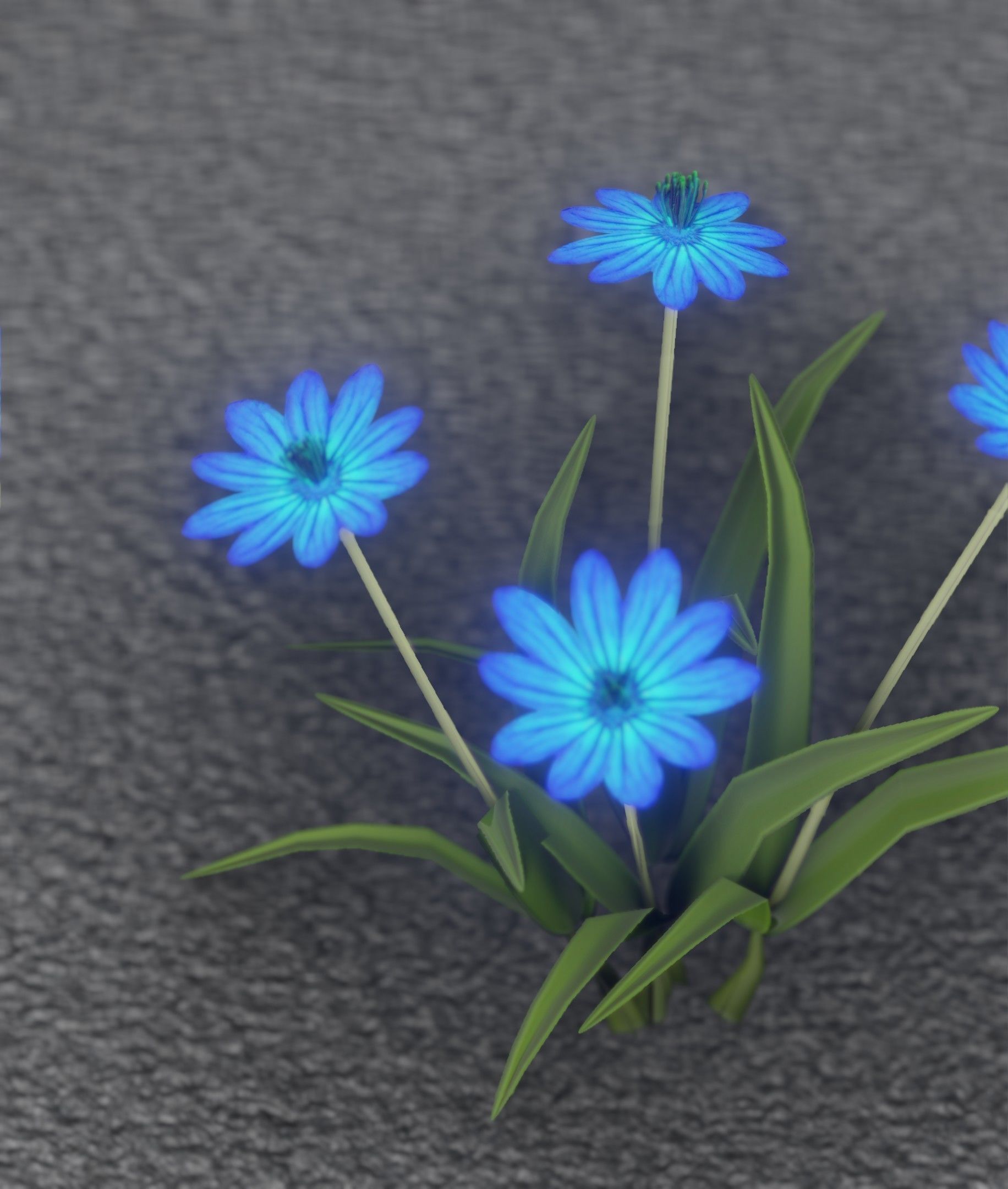Blue Flowers - Verion 5 - Object 20 Low-poly 3D model_49
