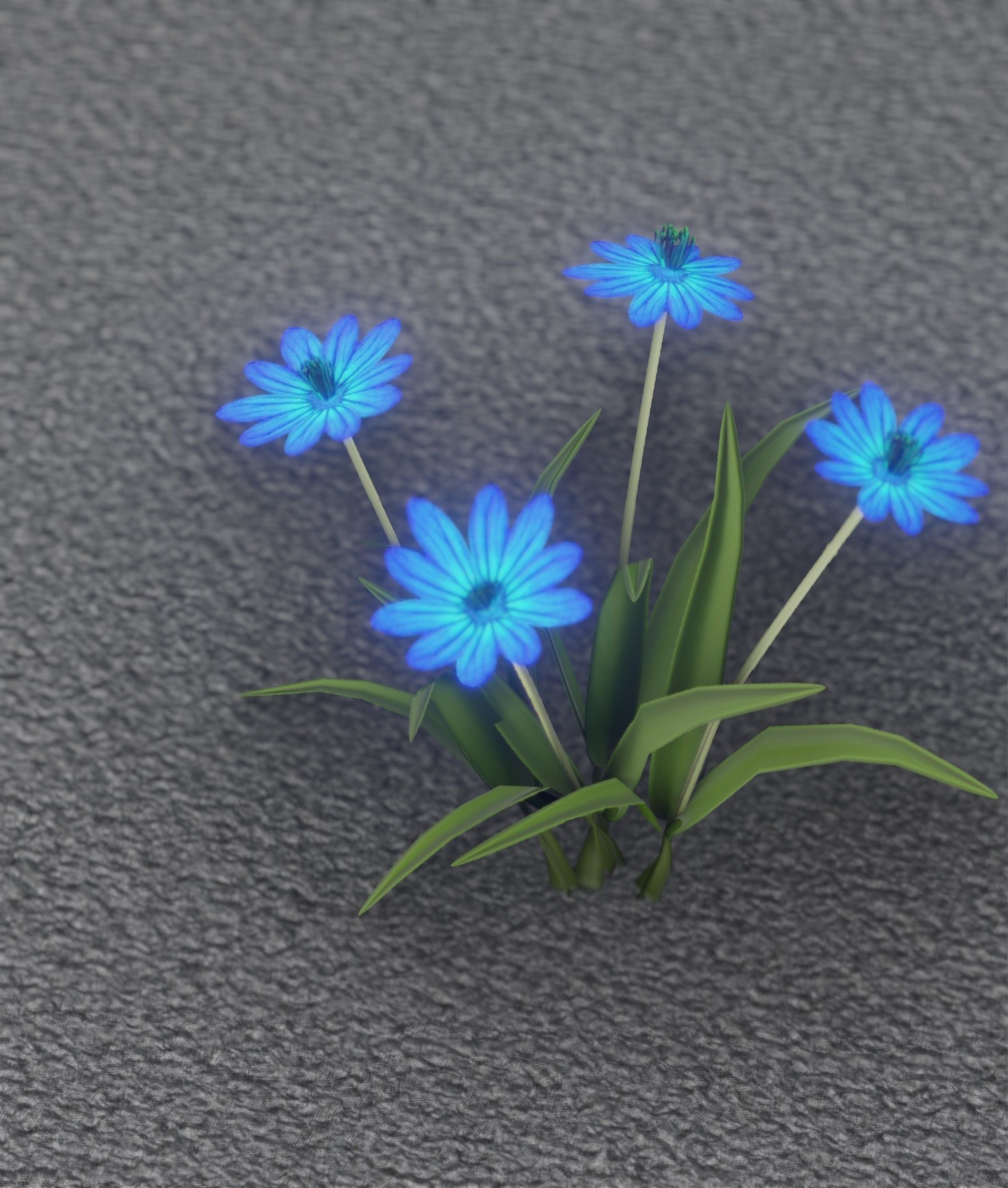 Blue Flowers - Verion 5 - Object 20 Low-poly 3D model_5