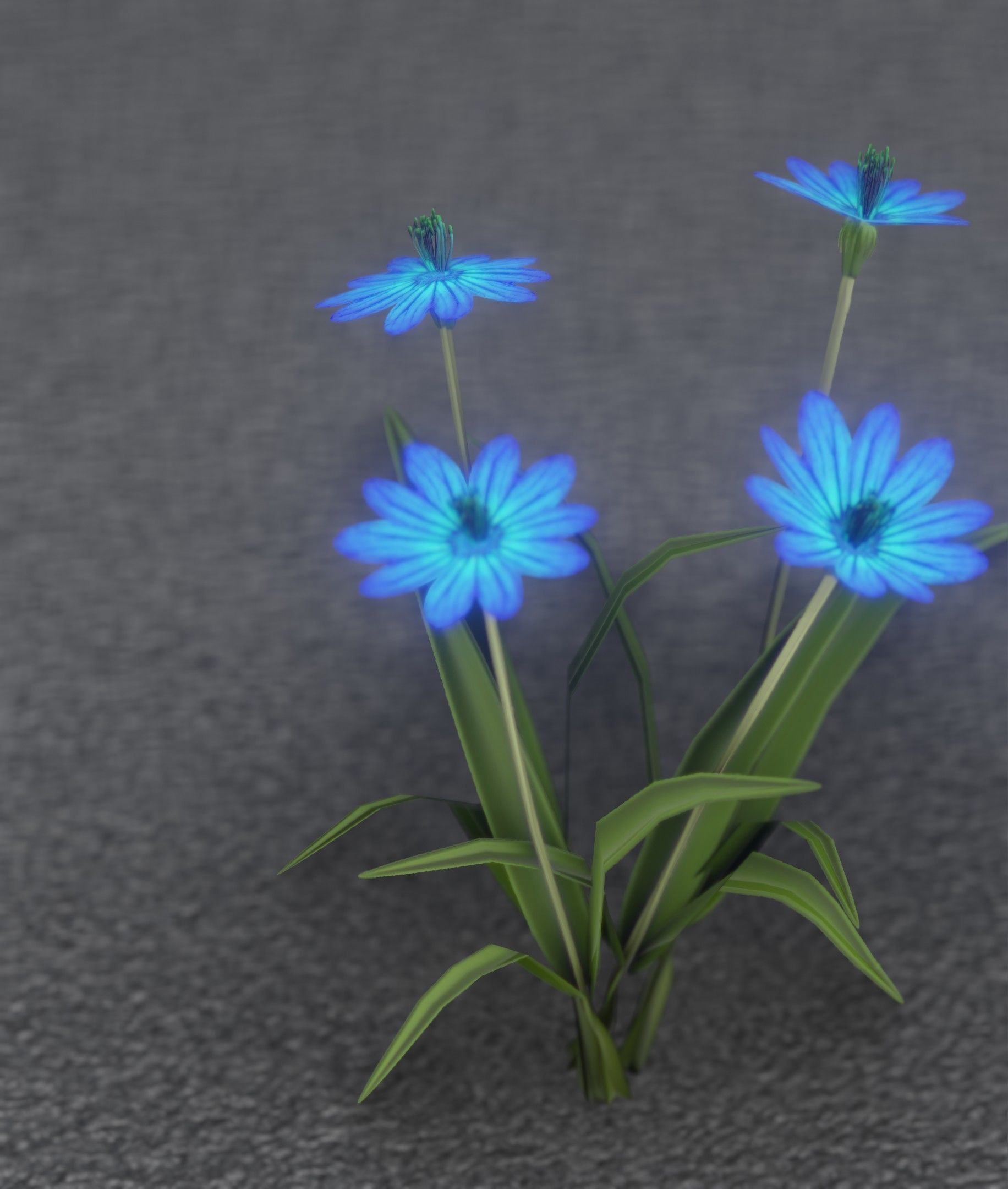 Blue Flowers - Verion 5 - Object 20 Low-poly 3D model_46