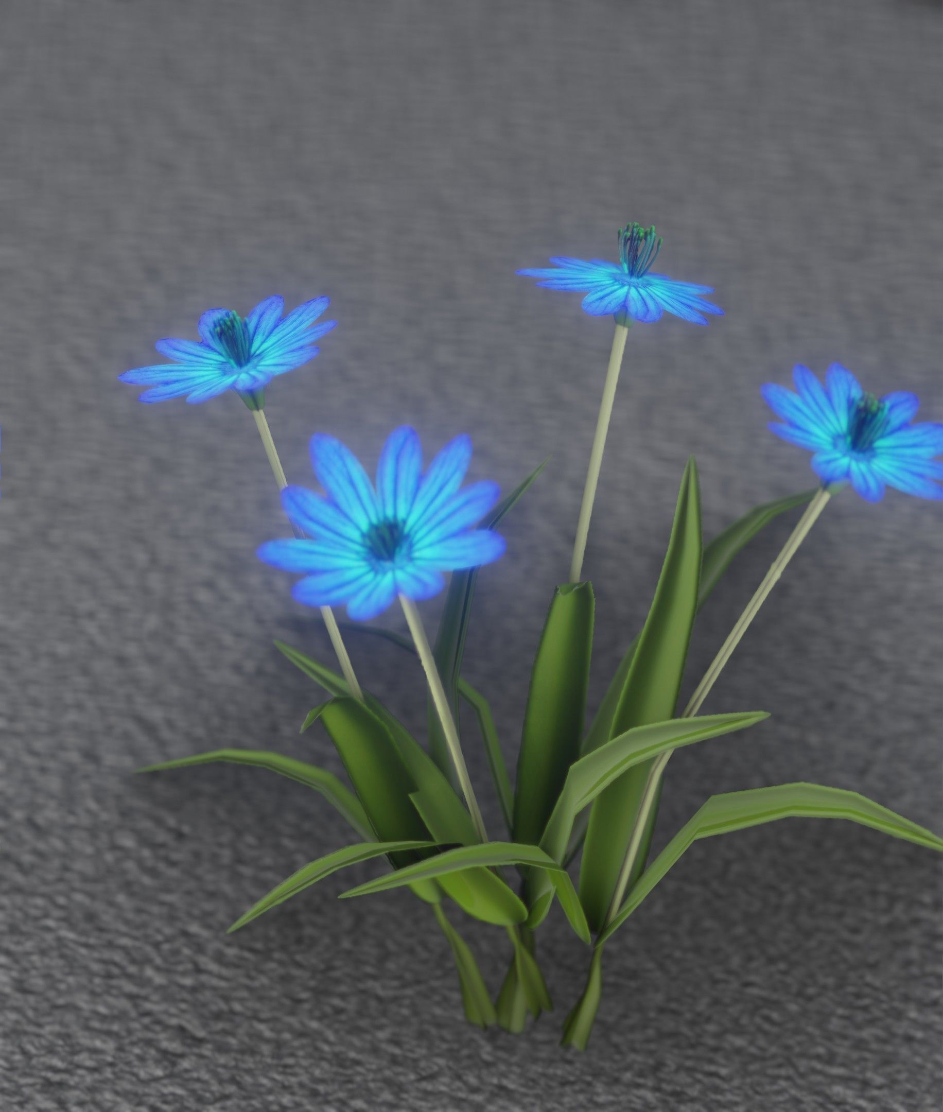 Blue Flowers - Verion 5 - Object 20 Low-poly 3D model_7