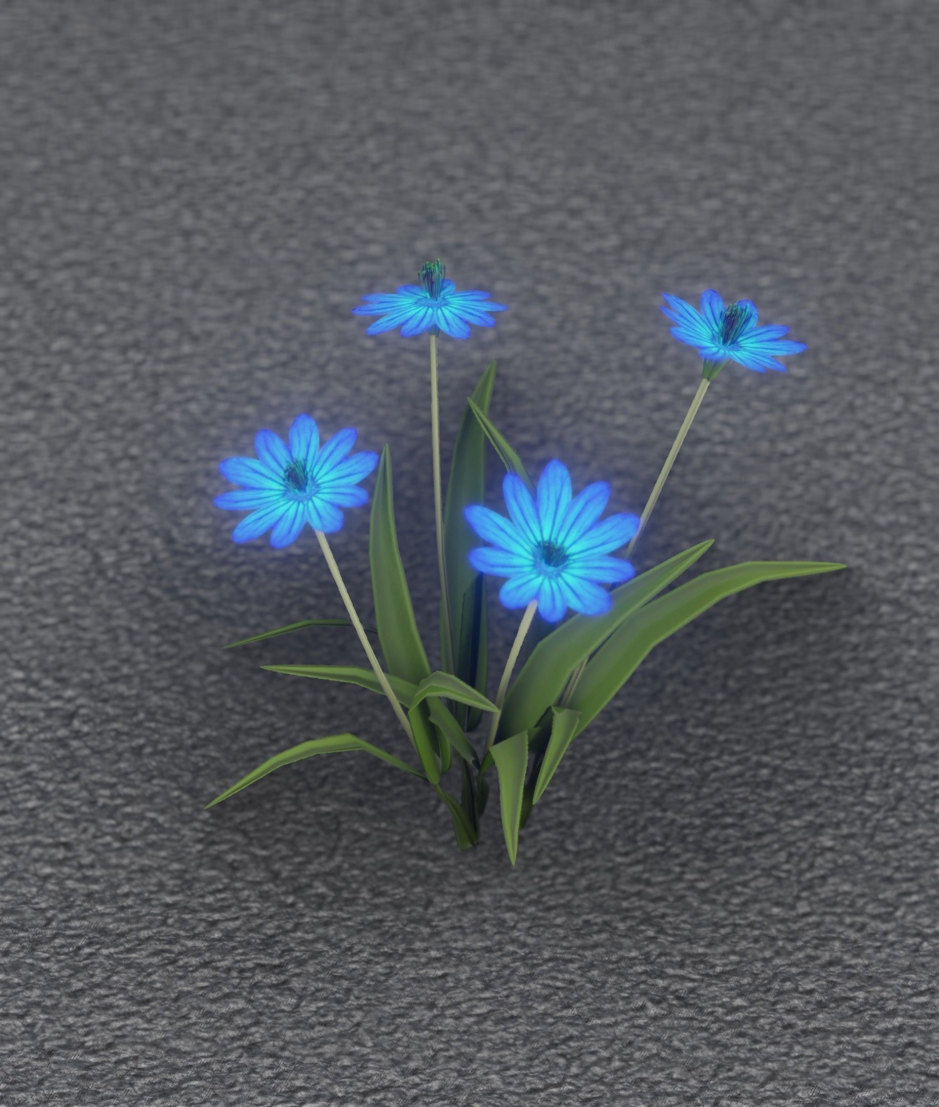 Blue Flowers - Verion 5 - Object 20 Low-poly 3D model_33
