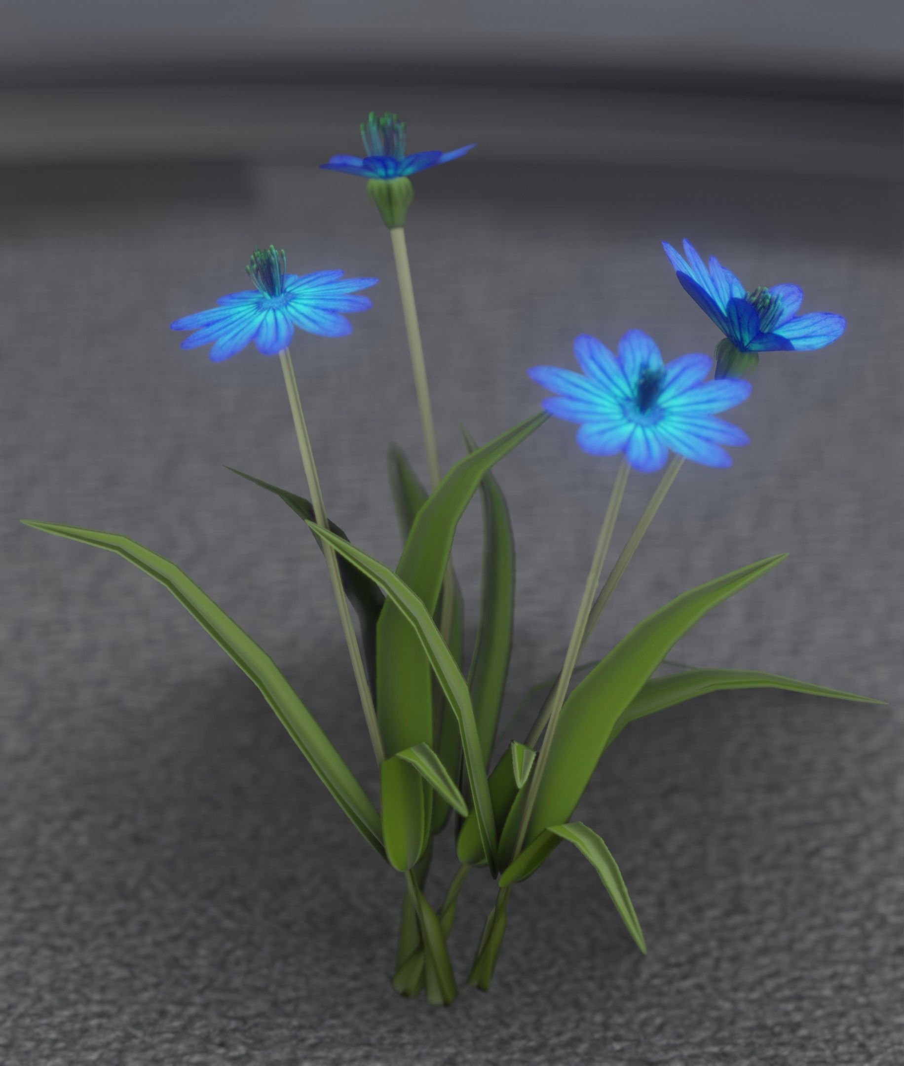 Blue Flowers - Verion 5 - Object 20 Low-poly 3D model_44