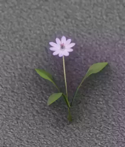 Violet Flower - Verion 1 - Object 21