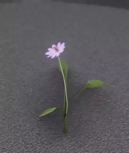 Violet Flower - Verion 2 - Object 22