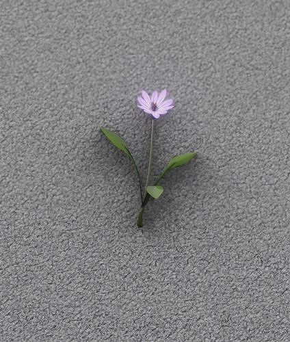 Violet Flower - Verion 3 - Object 23 Low-poly 3D model