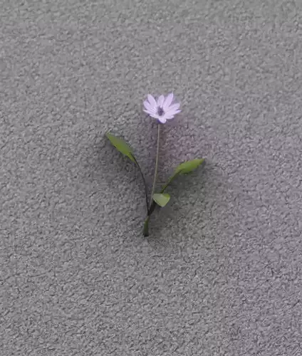 Violet Flower - Verion 3 - Object 23