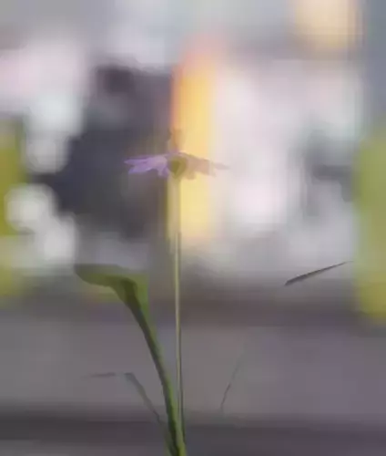 Violet Flower - Verion 4 - Object 24