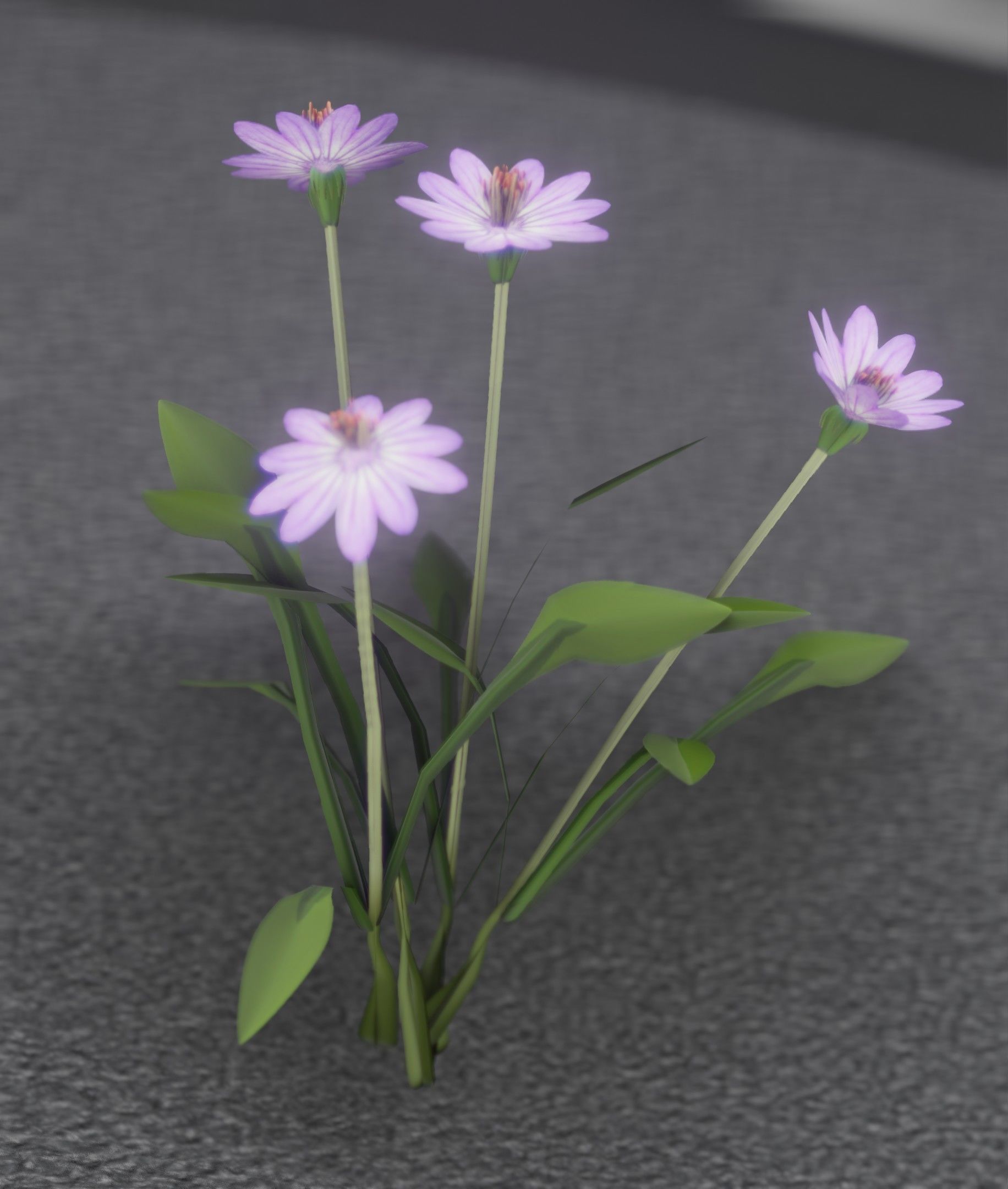 Violet Flowers - Verion 5 - Object 25 Low-poly 3D model_43