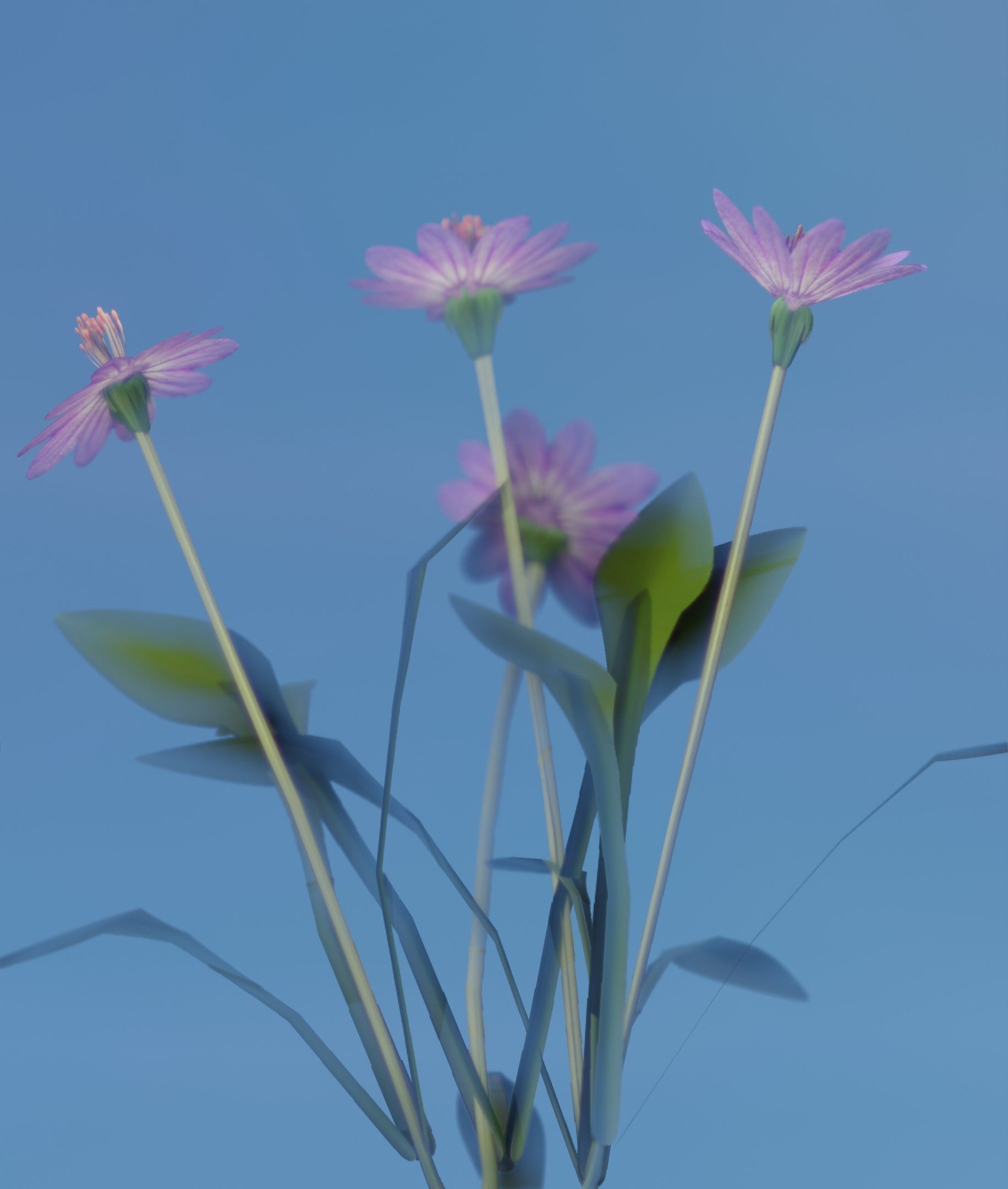 Violet Flowers - Verion 5 - Object 25 Low-poly 3D model_18