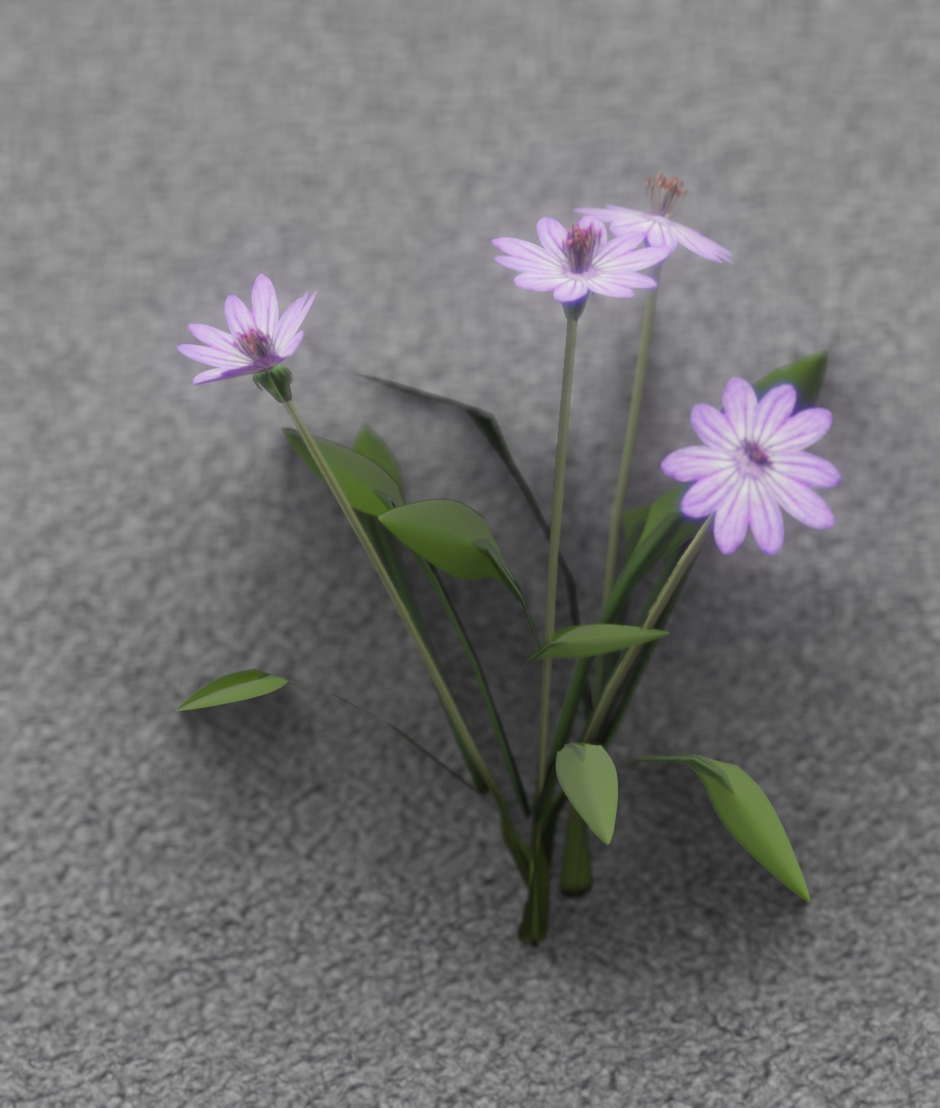 Violet Flowers - Verion 5 - Object 25 Low-poly 3D model_7