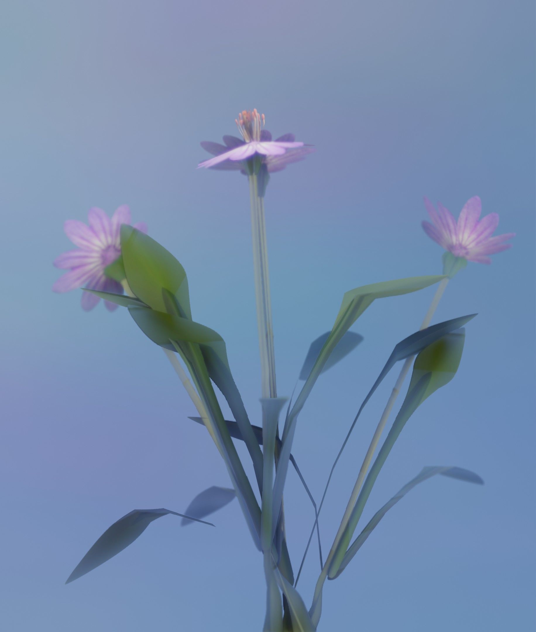 Violet Flowers - Verion 5 - Object 25 Low-poly 3D model_15