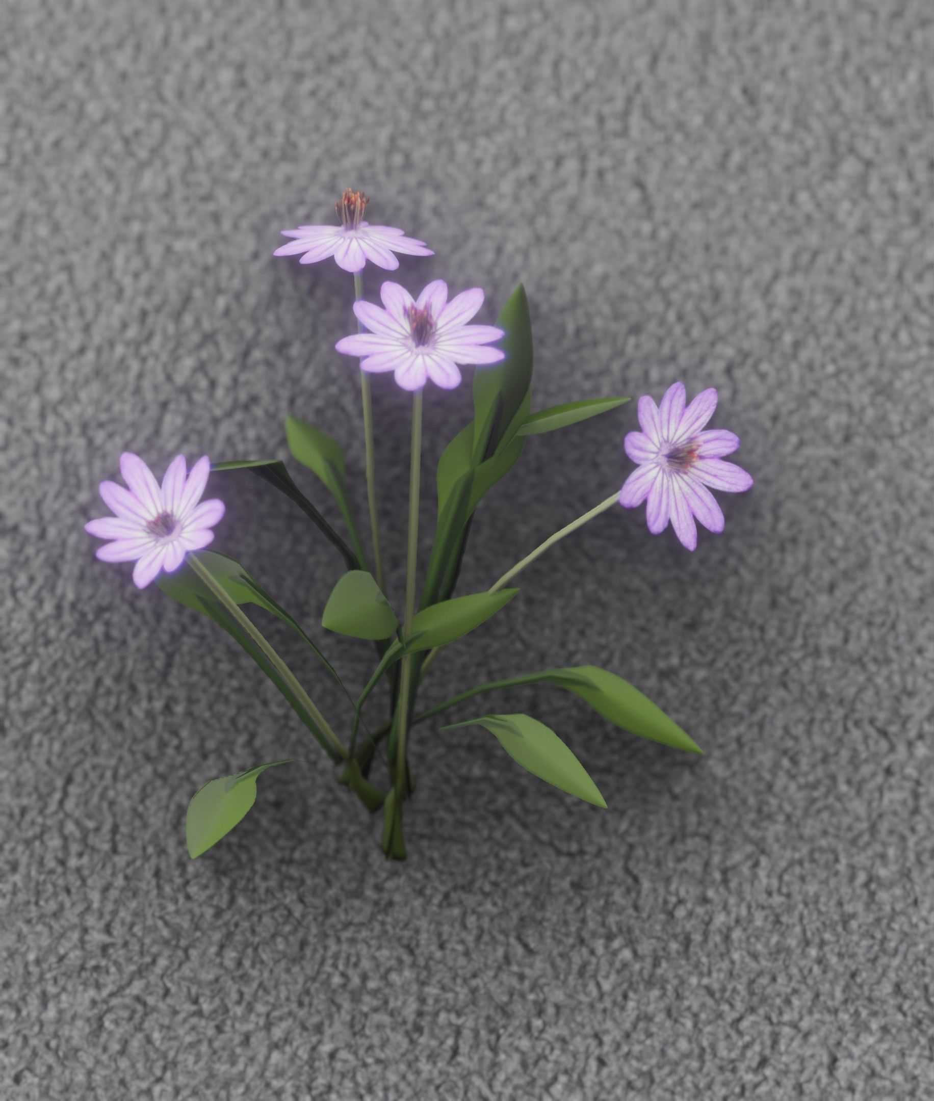 Violet Flowers - Verion 5 - Object 25 Low-poly 3D model_51
