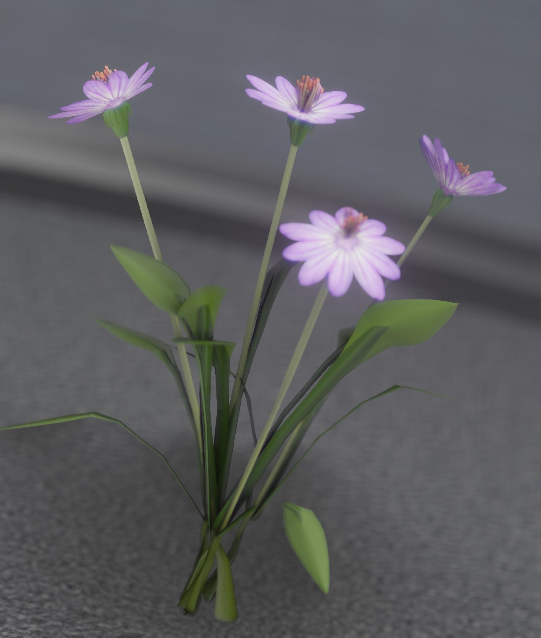 Violet Flowers - Verion 5 - Object 25 Low-poly 3D model_41