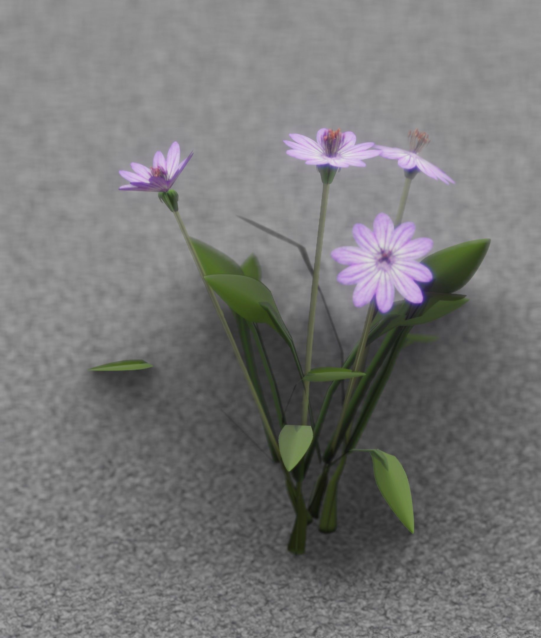 Violet Flowers - Verion 5 - Object 25 Low-poly 3D model_8