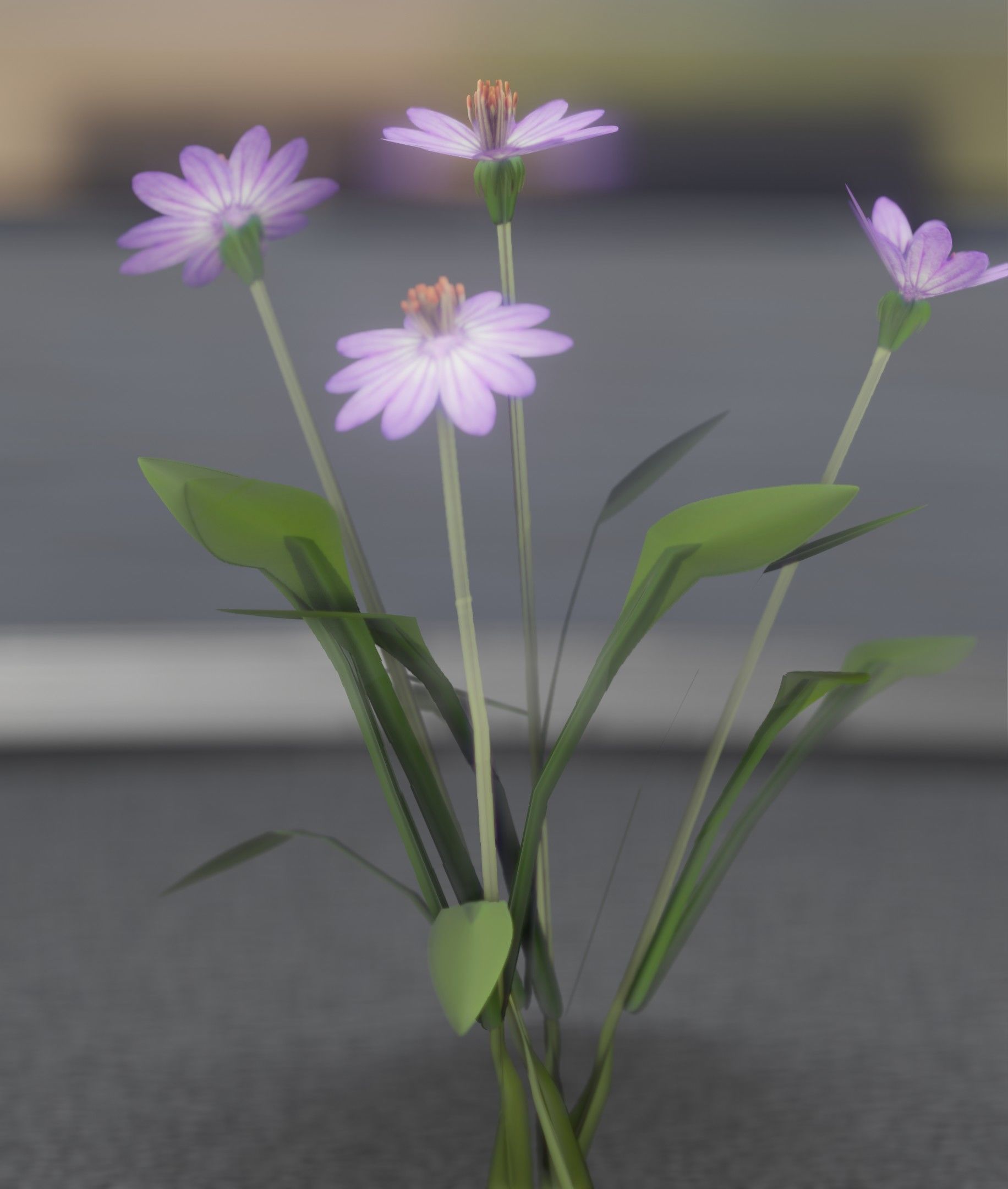 Violet Flowers - Verion 5 - Object 25 Low-poly 3D model_28