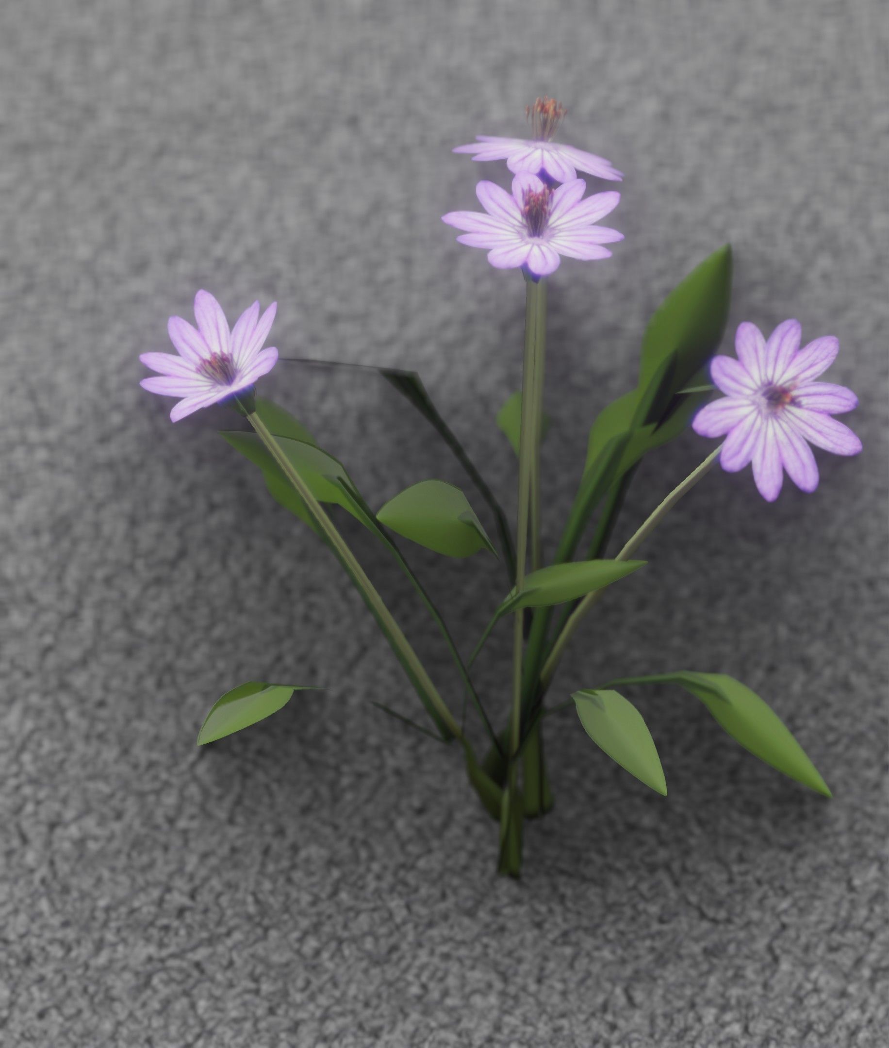 Violet Flowers - Verion 5 - Object 25 Low-poly 3D model_6