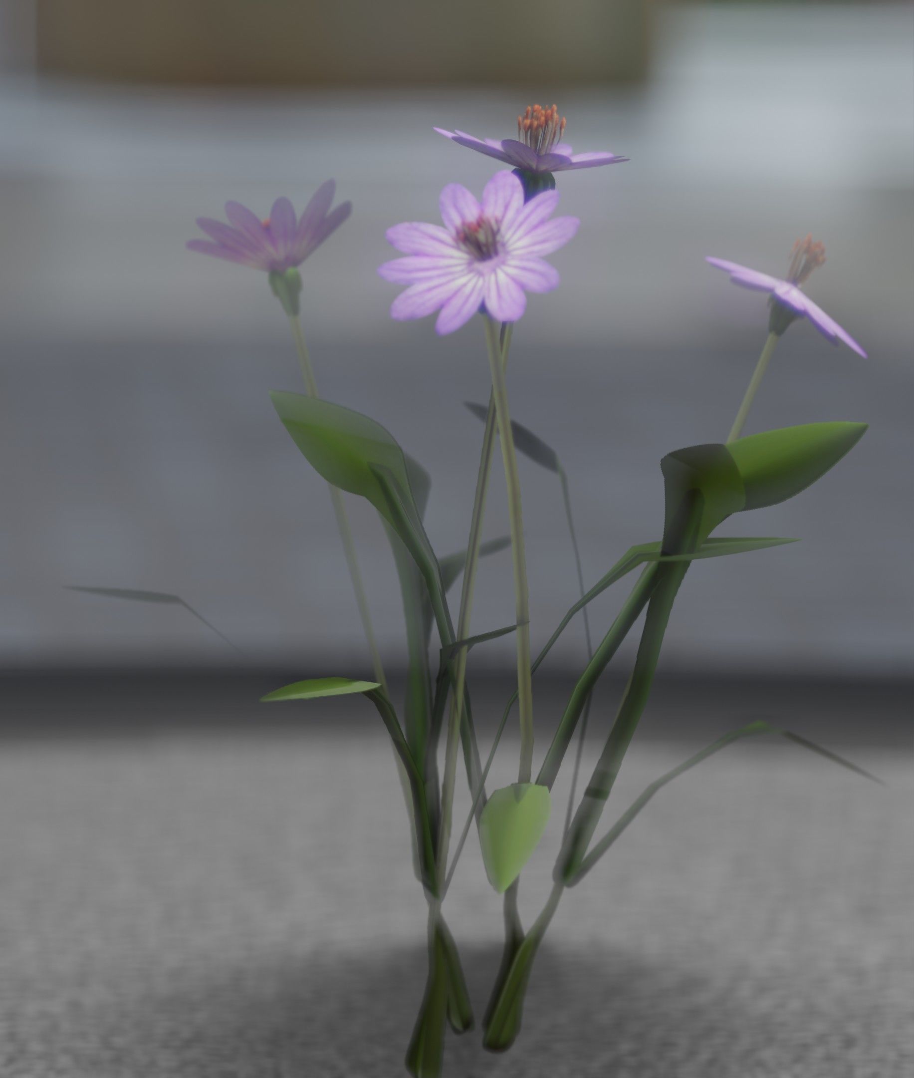 Violet Flowers - Verion 5 - Object 25 Low-poly 3D model_24
