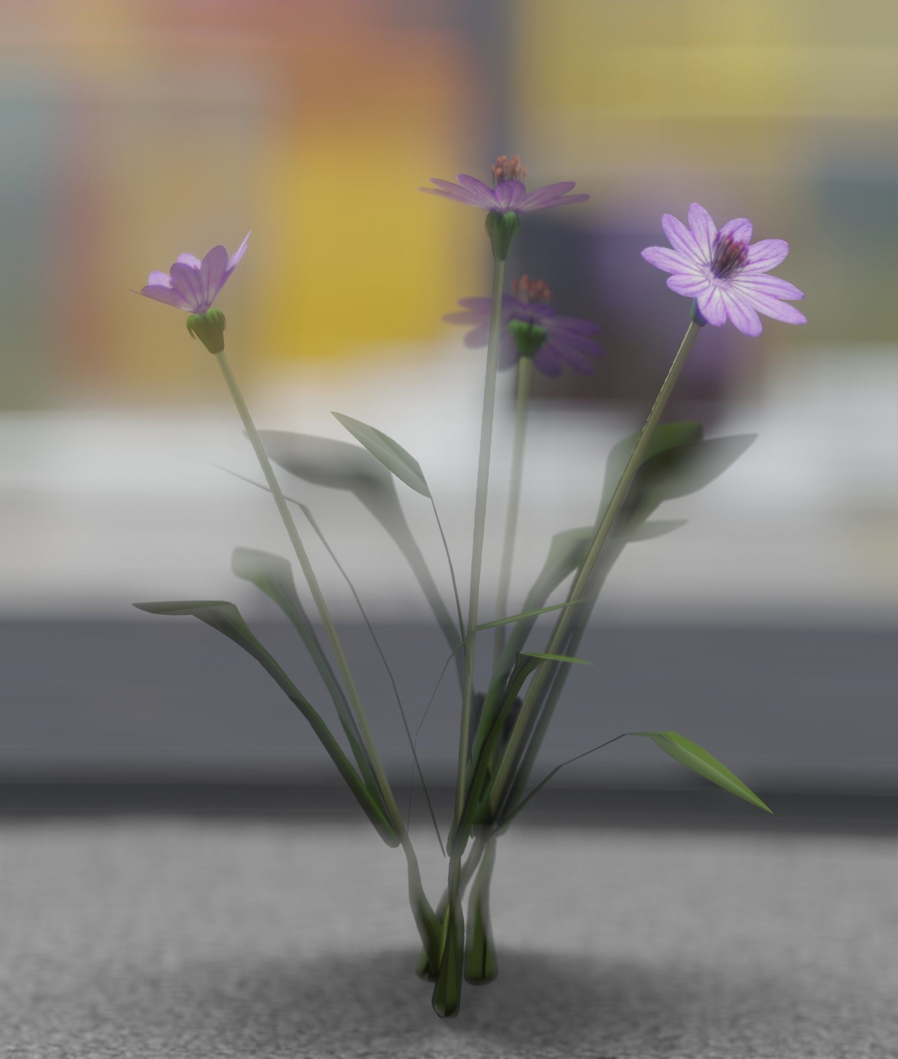 Violet Flowers - Verion 5 - Object 25 Low-poly 3D model_22