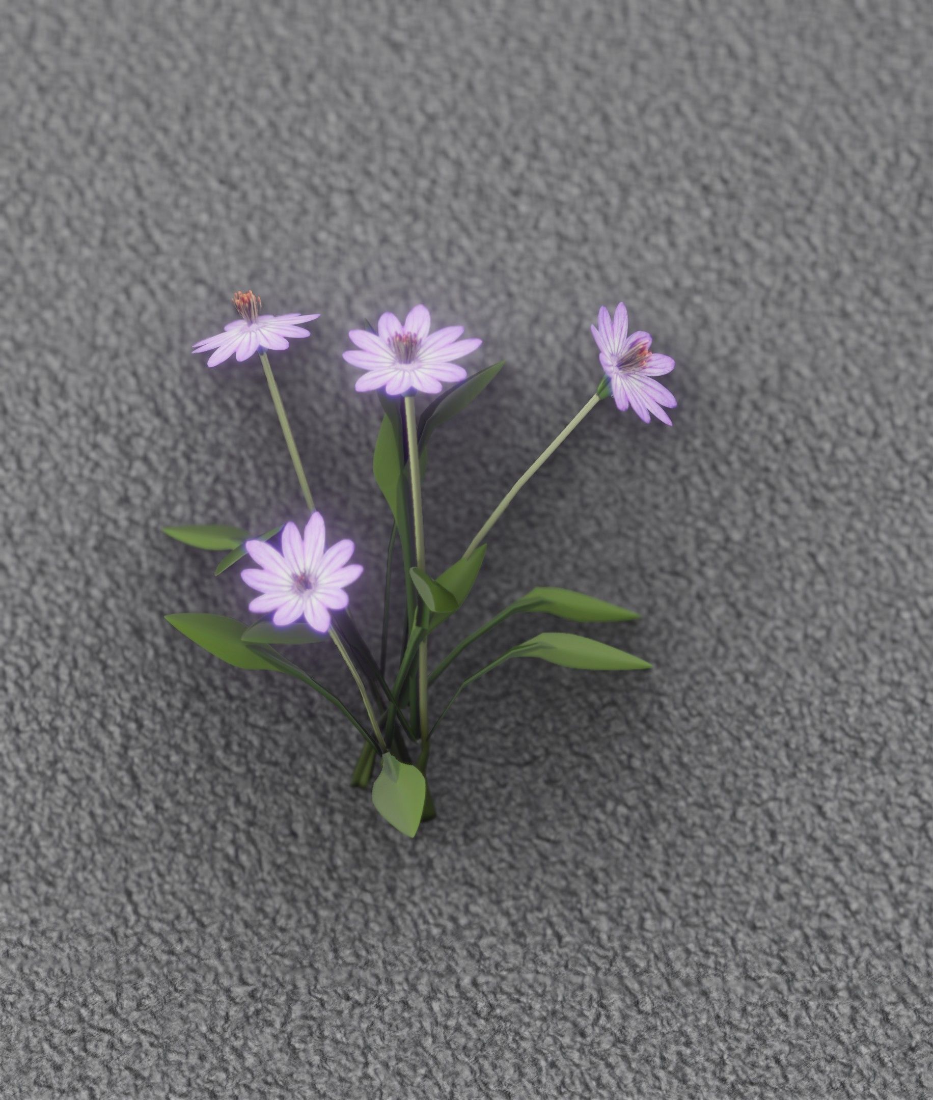 Violet Flowers - Verion 5 - Object 25 Low-poly 3D model_49