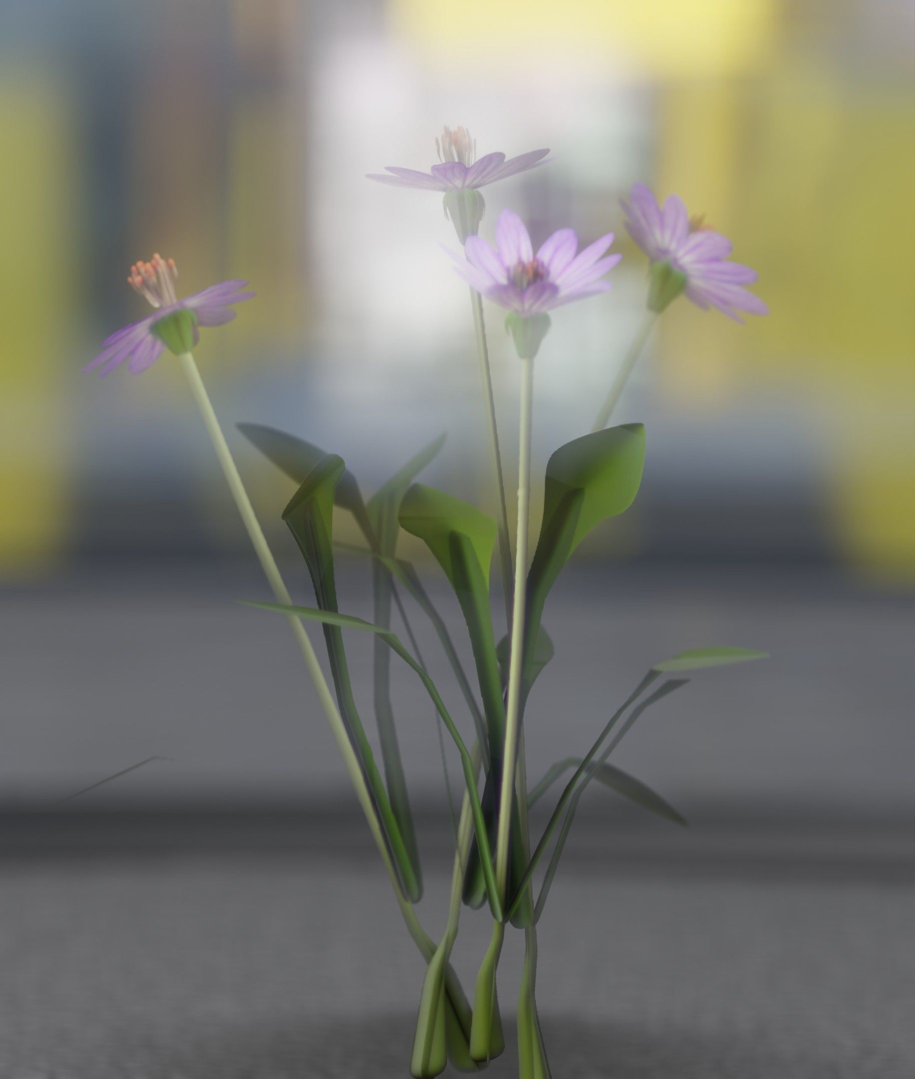 Violet Flowers - Verion 5 - Object 25 Low-poly 3D model_30
