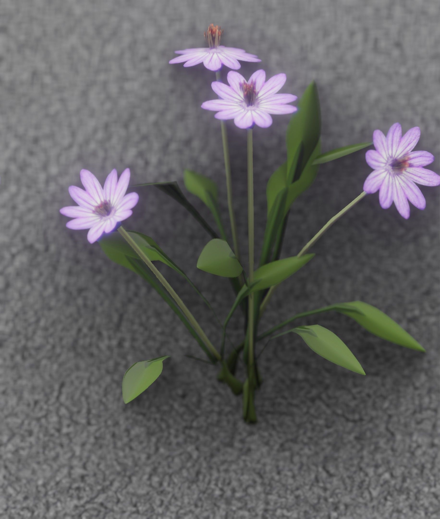 Violet Flowers - Verion 5 - Object 25 Low-poly 3D model_2