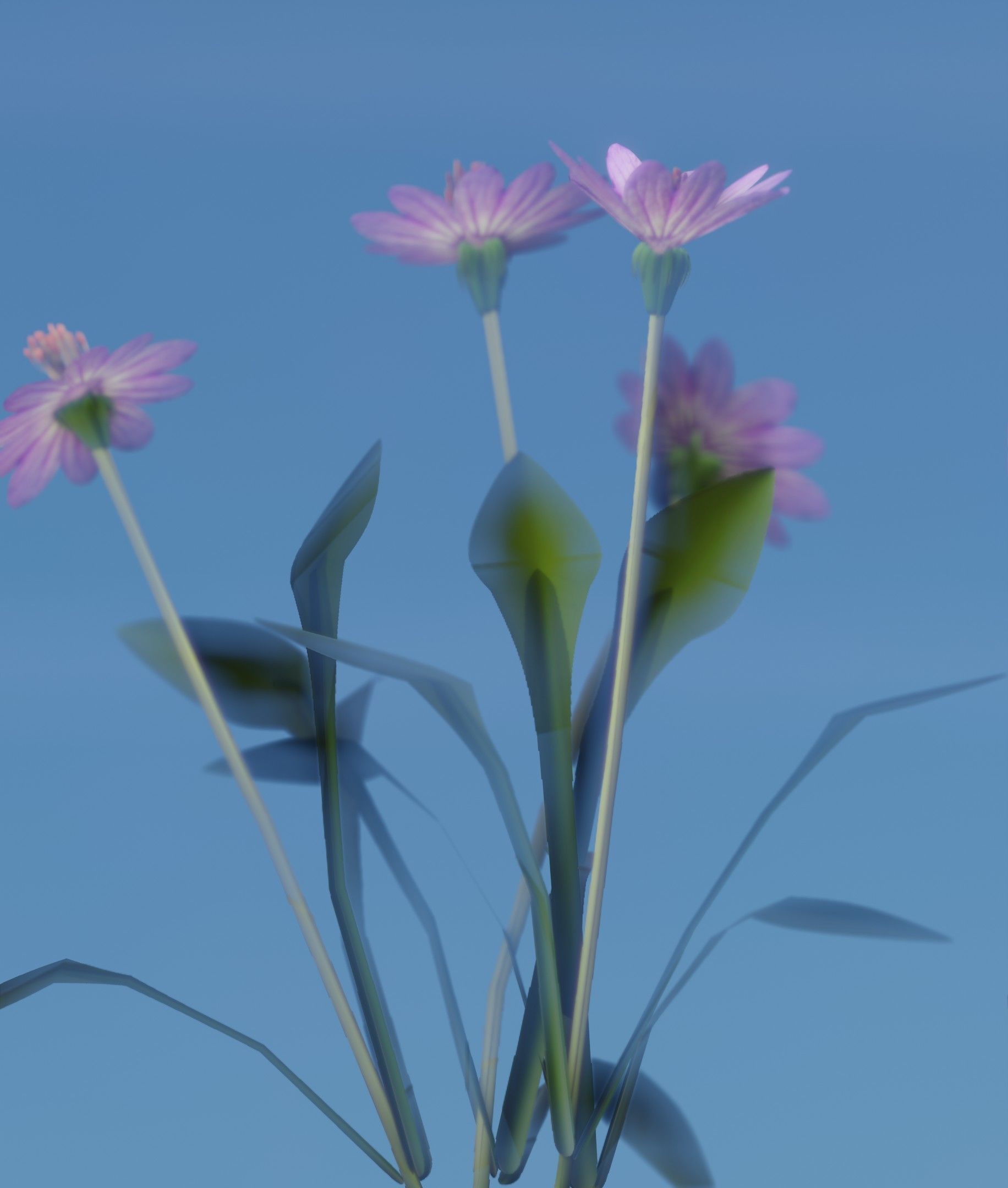 Violet Flowers - Verion 5 - Object 25 Low-poly 3D model_19