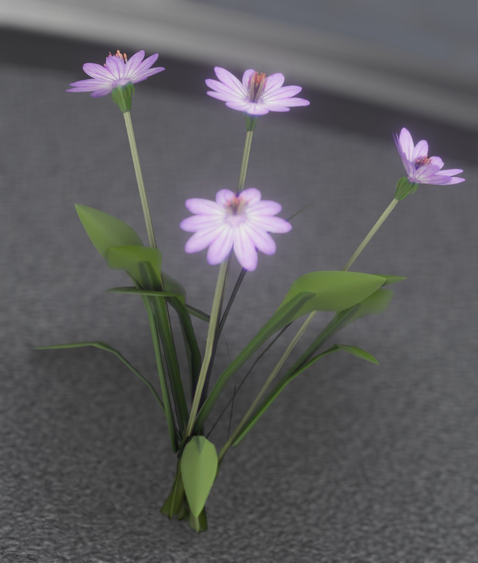 Violet Flowers - Verion 5 - Object 25 Low-poly 3D model_42