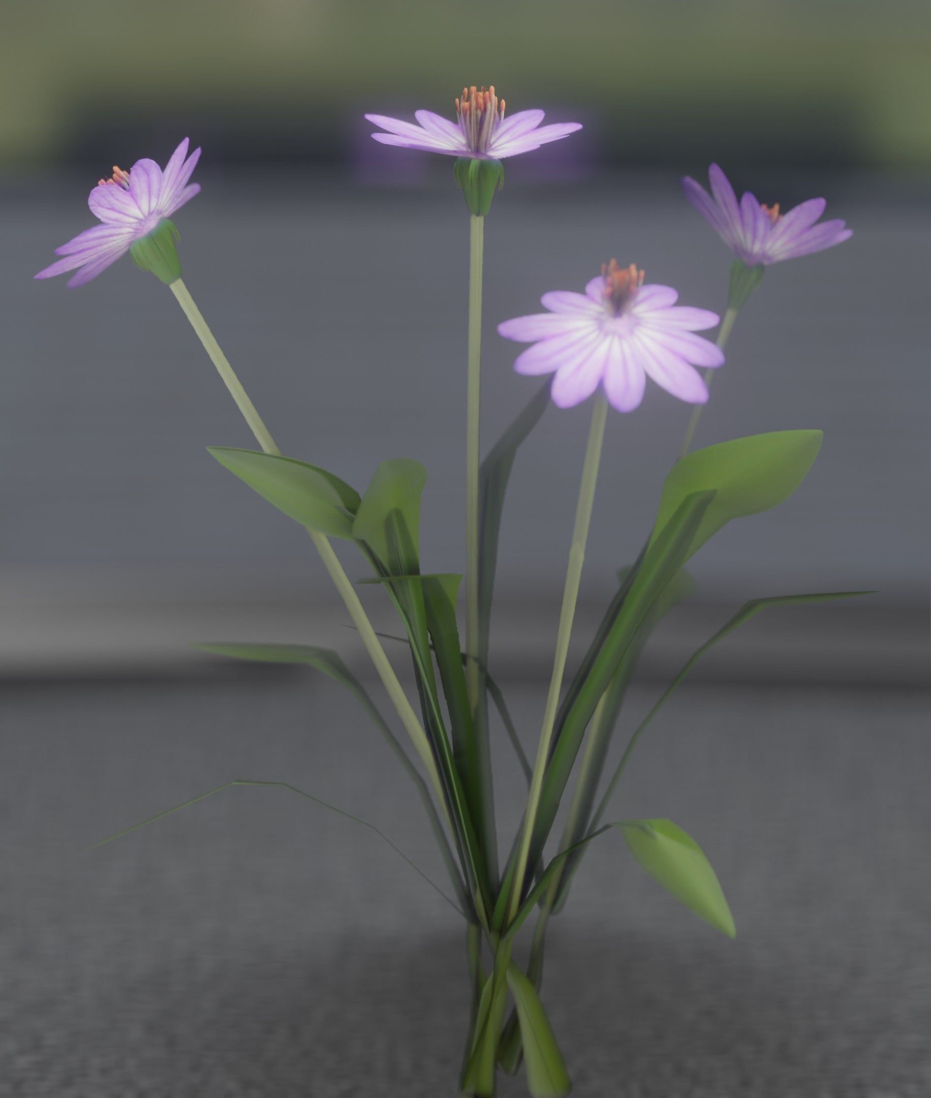 Violet Flowers - Verion 5 - Object 25 Low-poly 3D model_27