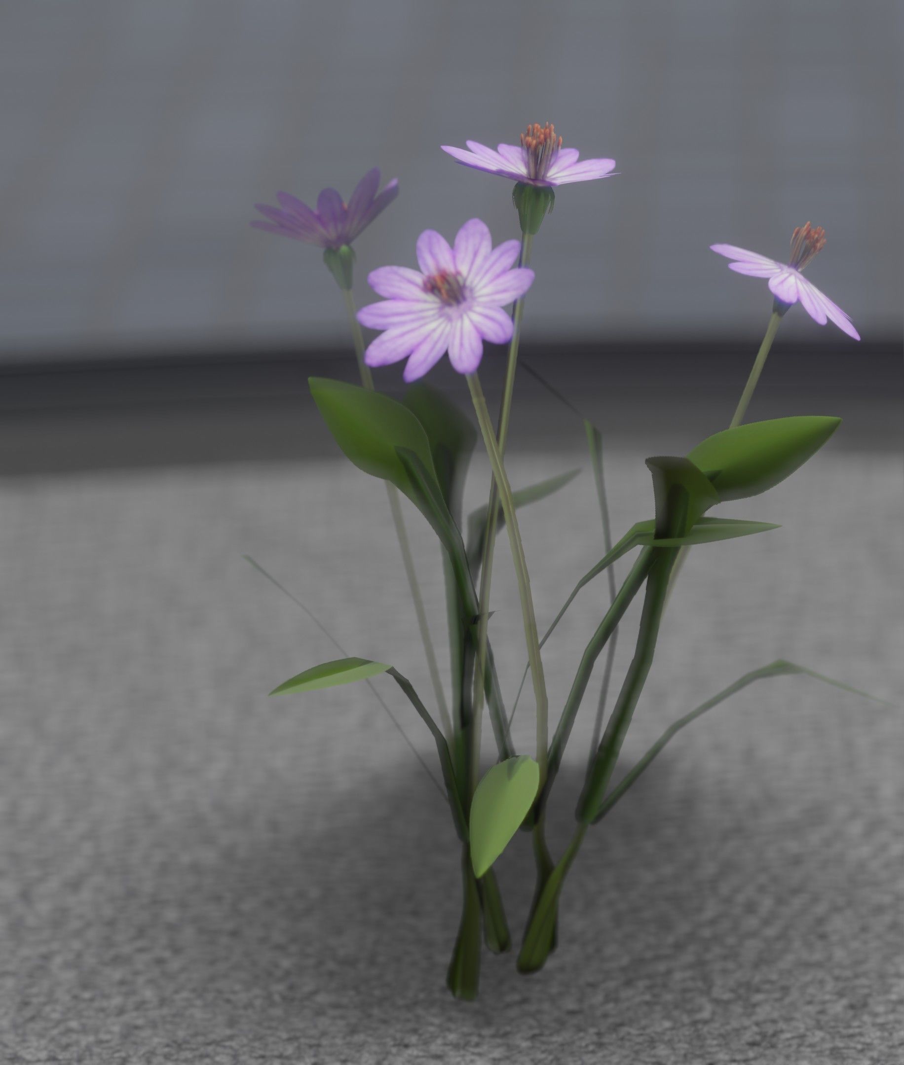 Violet Flowers - Verion 5 - Object 25 Low-poly 3D model_10