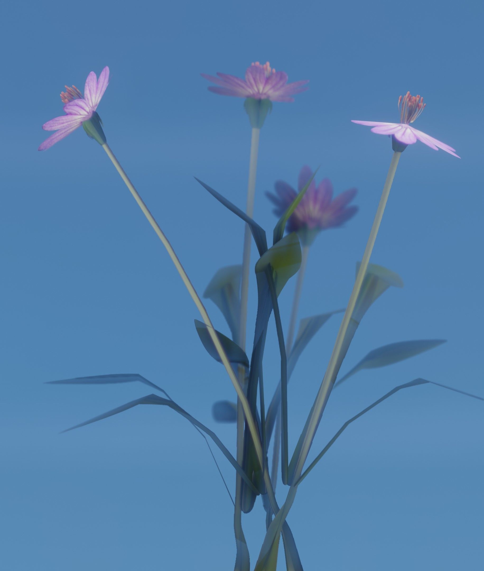 Violet Flowers - Verion 5 - Object 25 Low-poly 3D model_12