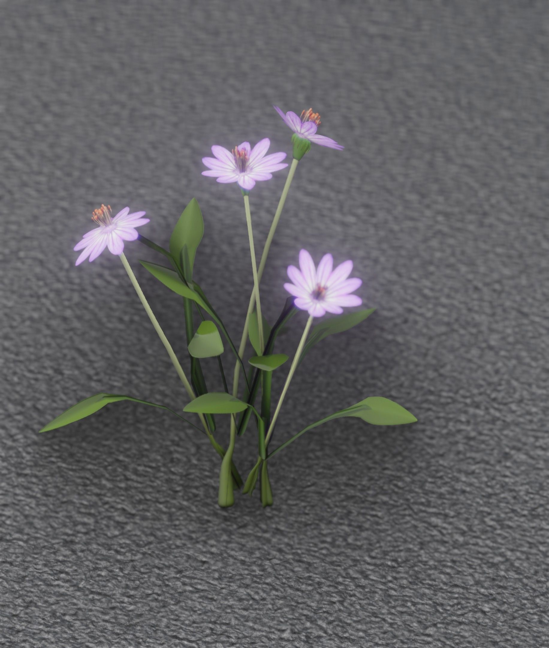 Violet Flowers - Verion 5 - Object 25 Low-poly 3D model_46