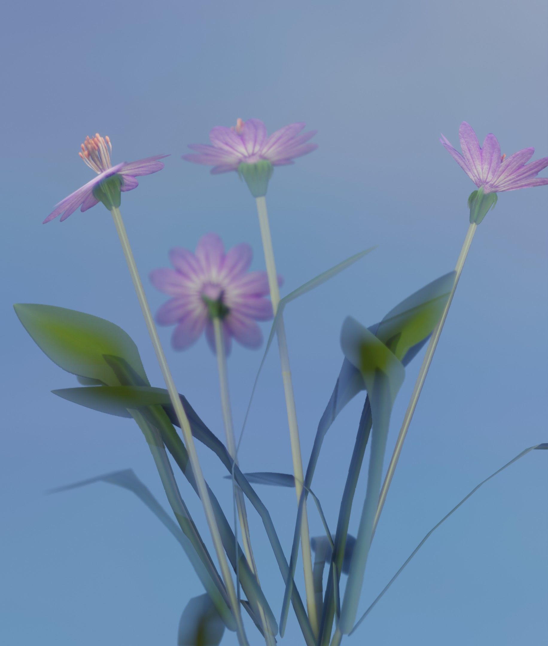 Violet Flowers - Verion 5 - Object 25 Low-poly 3D model_17
