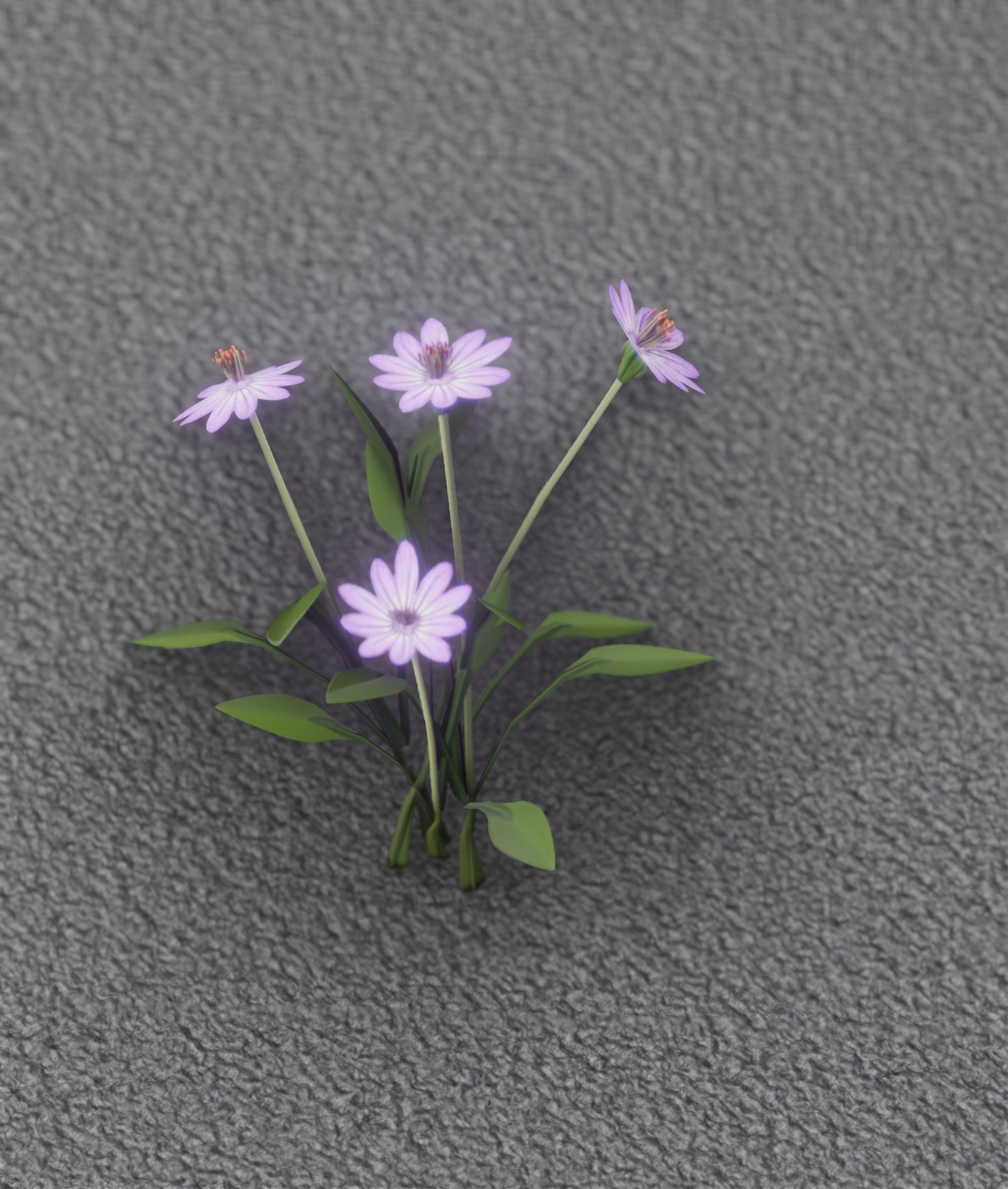 Violet Flowers - Verion 5 - Object 25 Low-poly 3D model_48