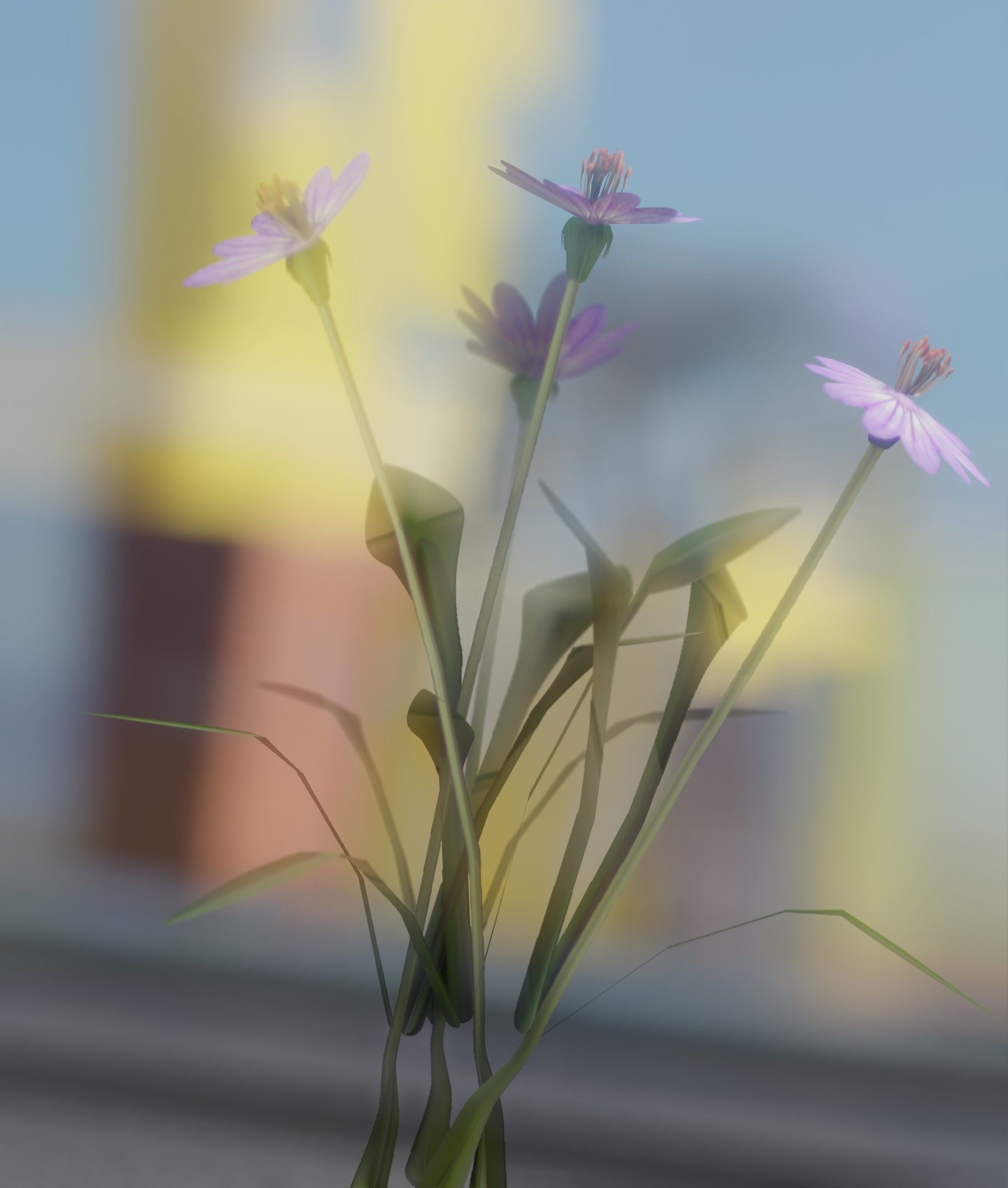 Violet Flowers - Verion 5 - Object 25 Low-poly 3D model_4