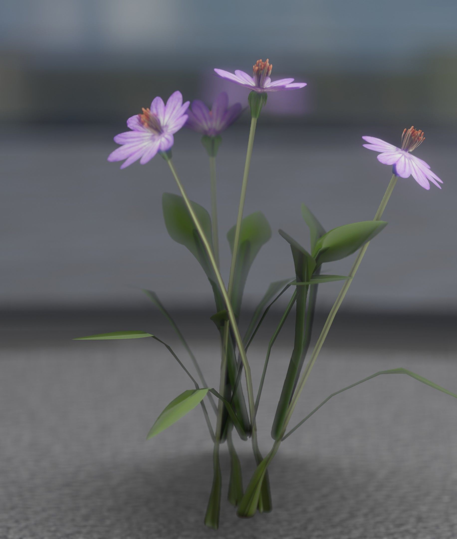 Violet Flowers - Verion 5 - Object 25 Low-poly 3D model_25