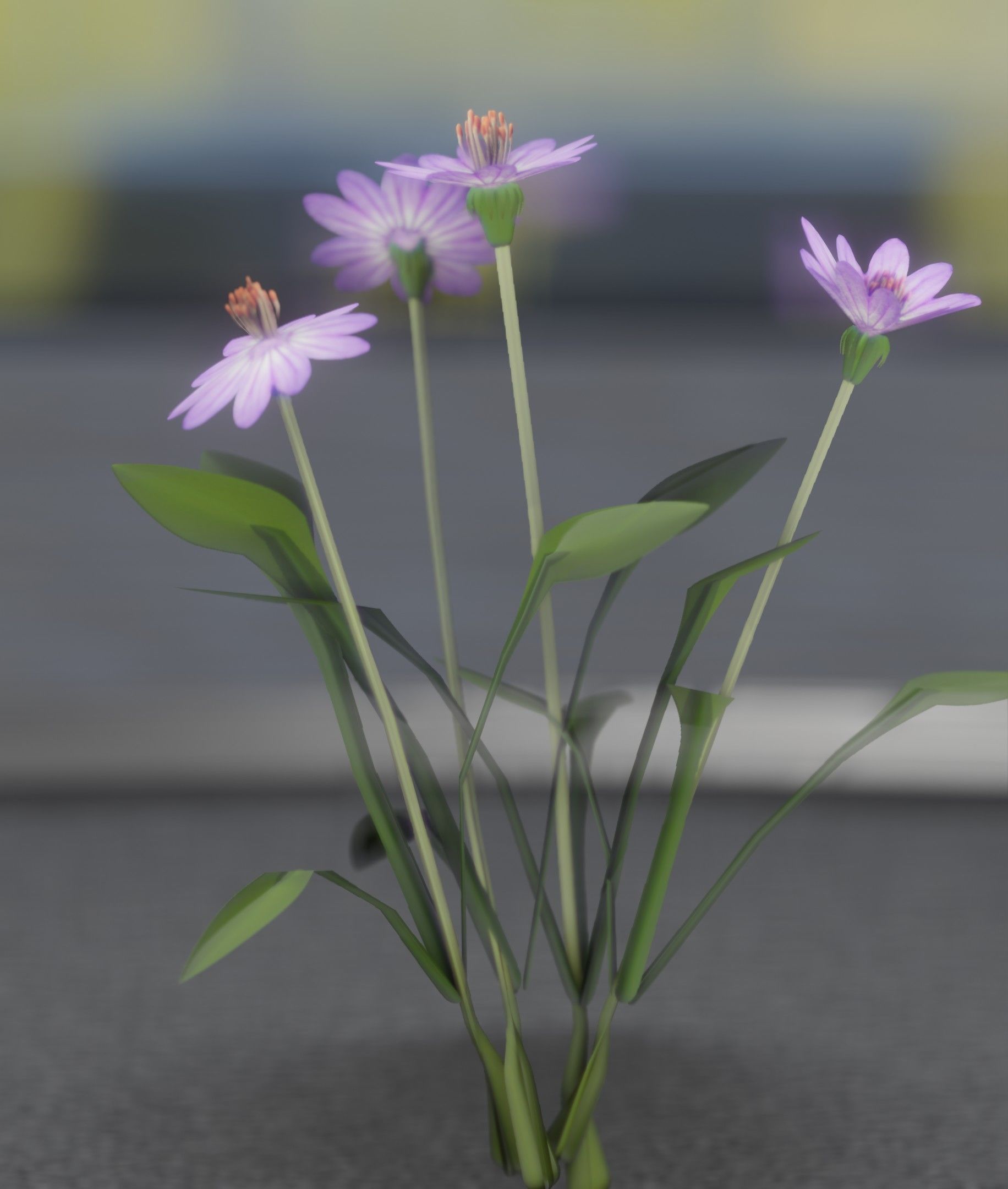 Violet Flowers - Verion 5 - Object 25 Low-poly 3D model_5
