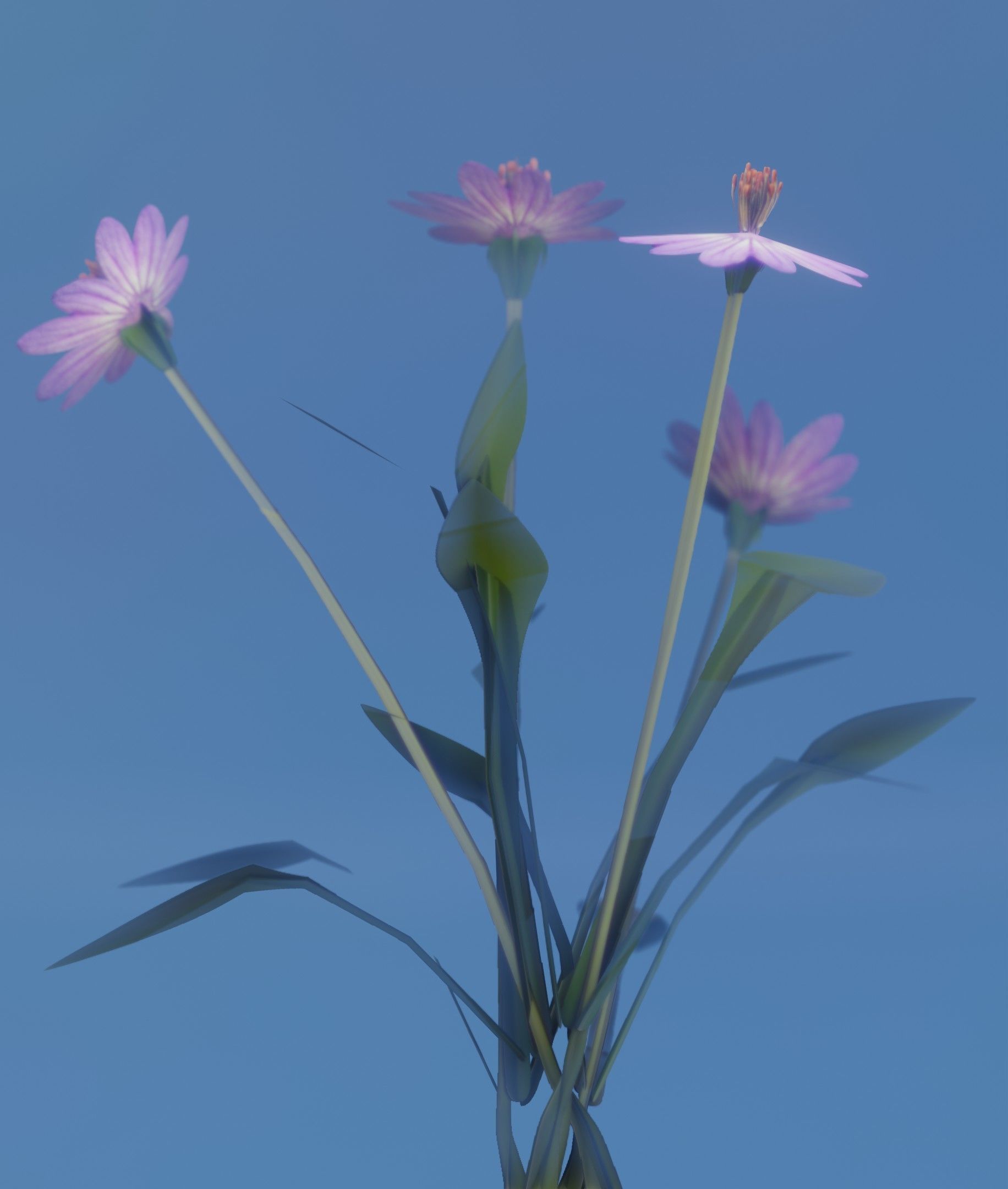 Violet Flowers - Verion 5 - Object 25 Low-poly 3D model_13