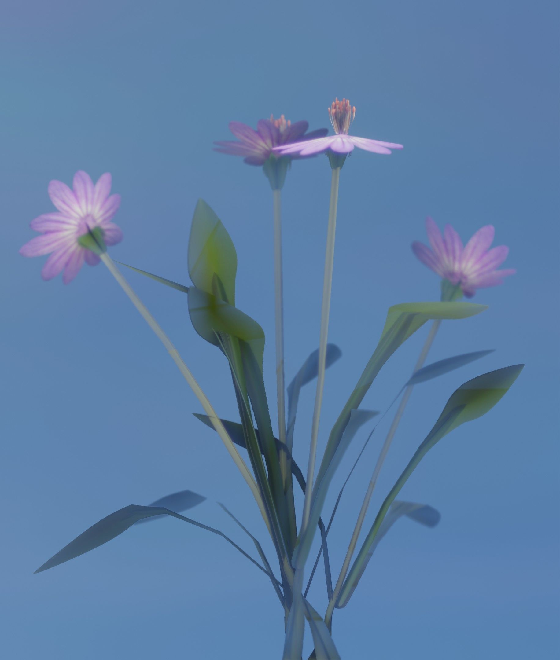 Violet Flowers - Verion 5 - Object 25 Low-poly 3D model_14