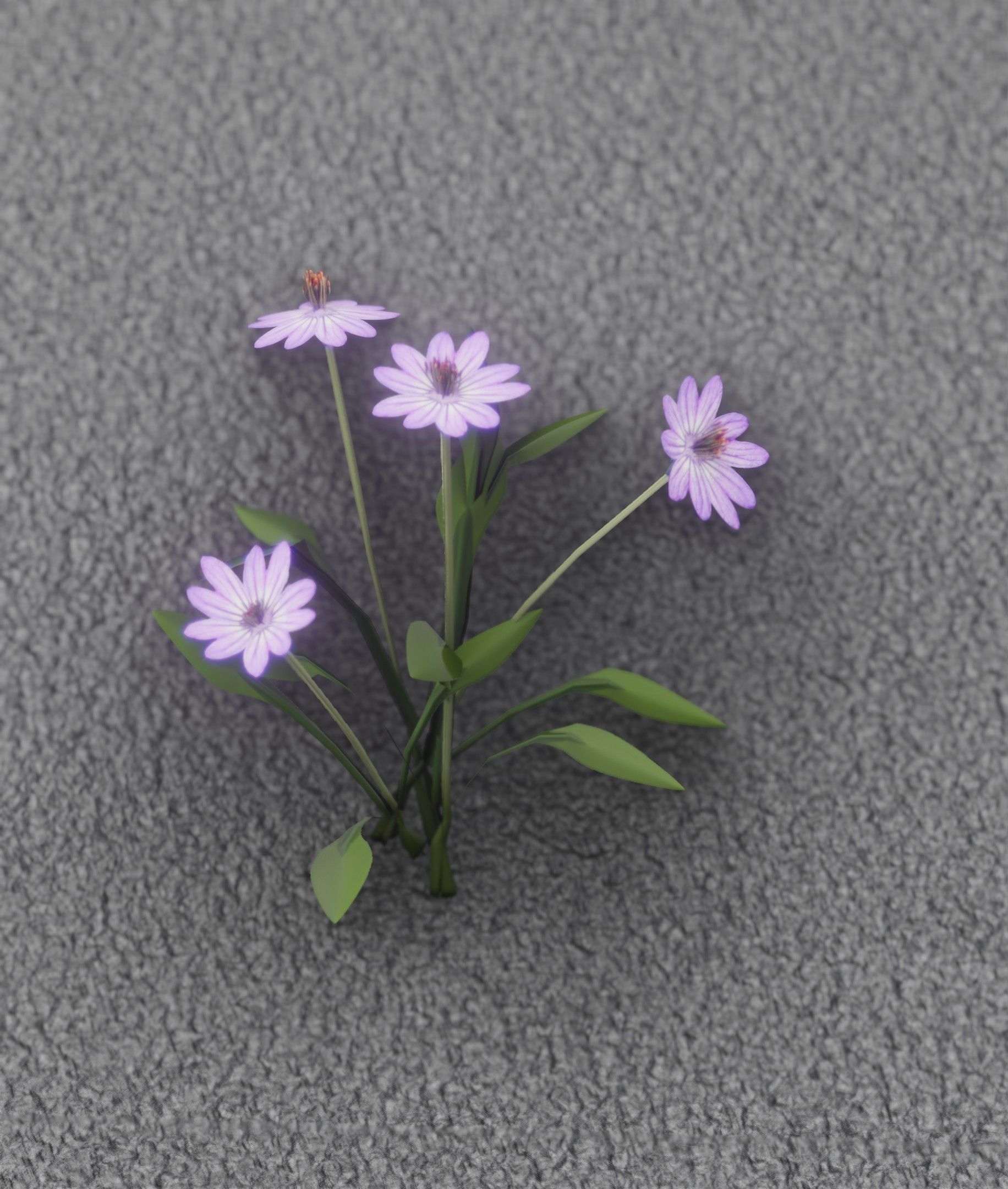 Violet Flowers - Verion 5 - Object 25 Low-poly 3D model_50