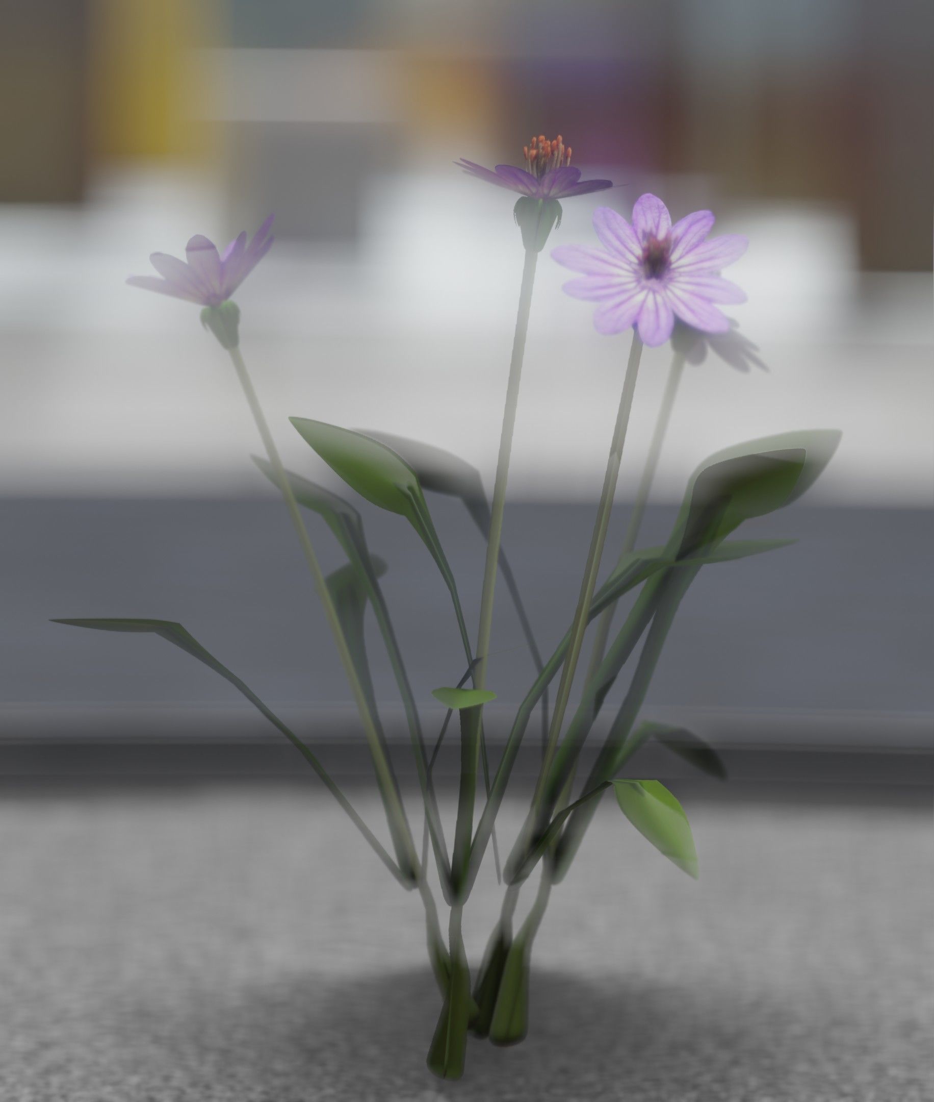 Violet Flowers - Verion 5 - Object 25 Low-poly 3D model_23