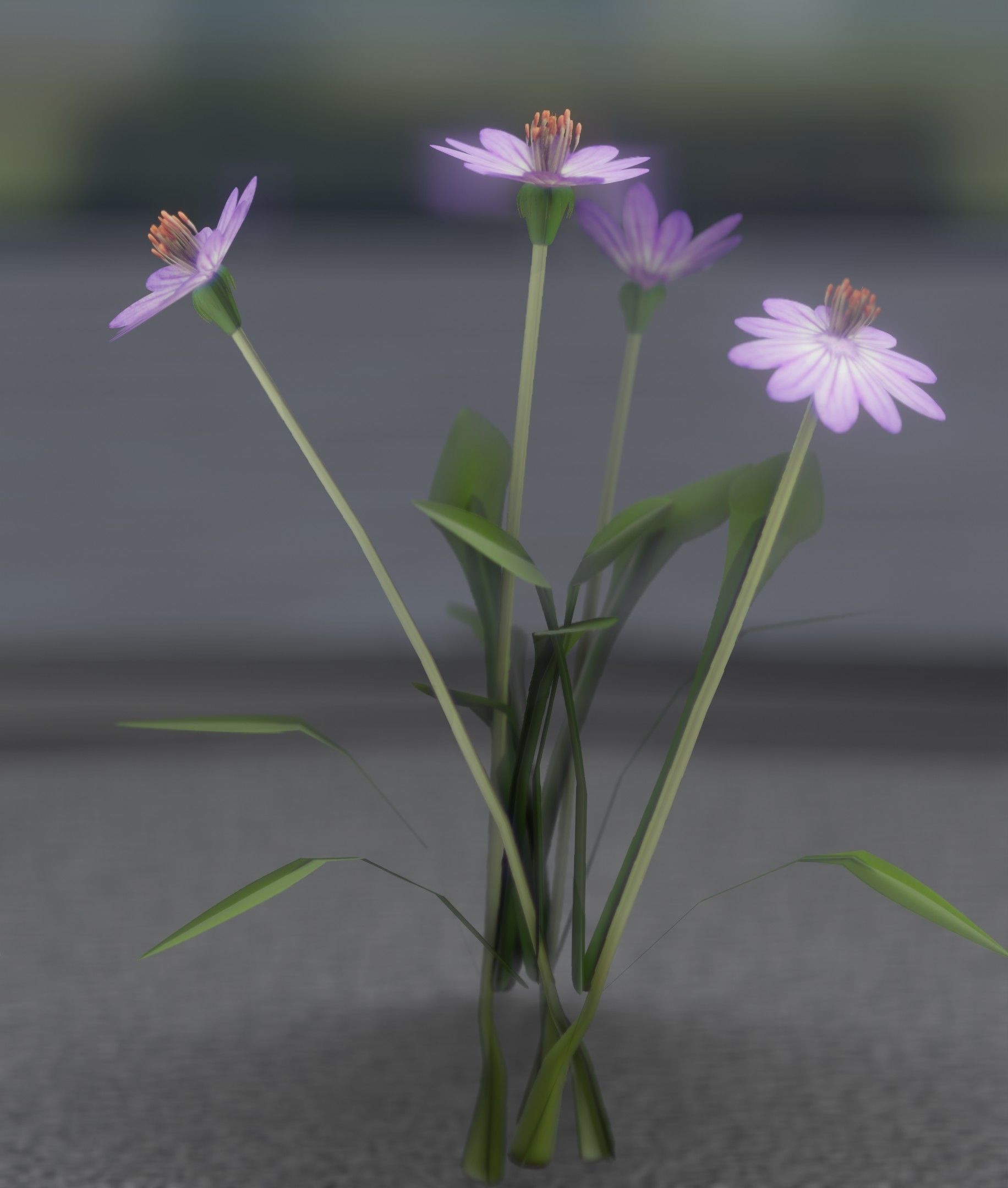 Violet Flowers - Verion 5 - Object 25 Low-poly 3D model_26