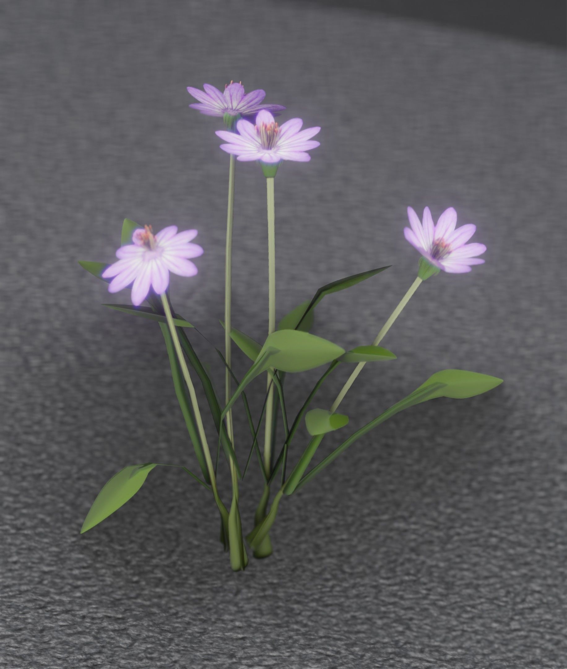 Violet Flowers - Verion 5 - Object 25 Low-poly 3D model_44