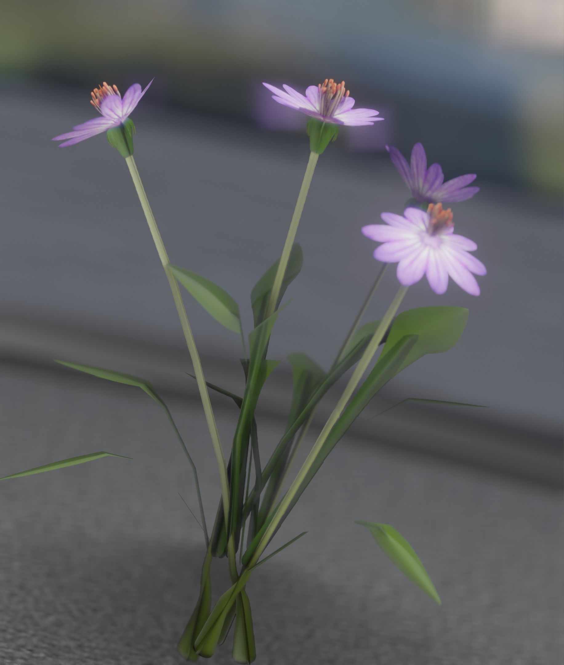 Violet Flowers - Verion 5 - Object 25 Low-poly 3D model_40