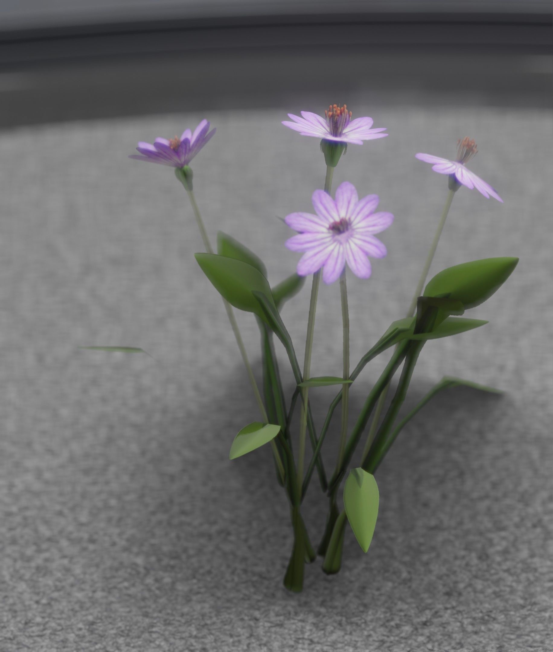 Violet Flowers - Verion 5 - Object 25 Low-poly 3D model_9