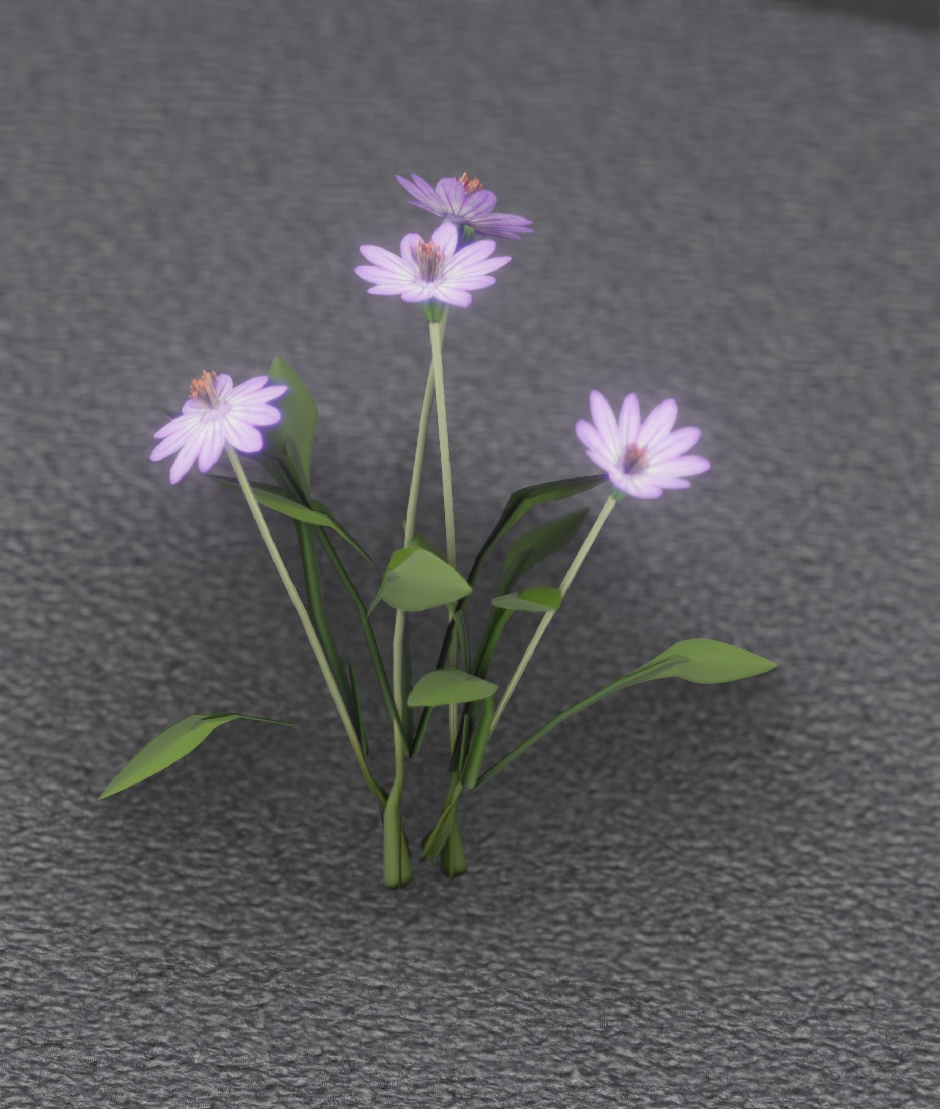 Violet Flowers - Verion 5 - Object 25 Low-poly 3D model_45