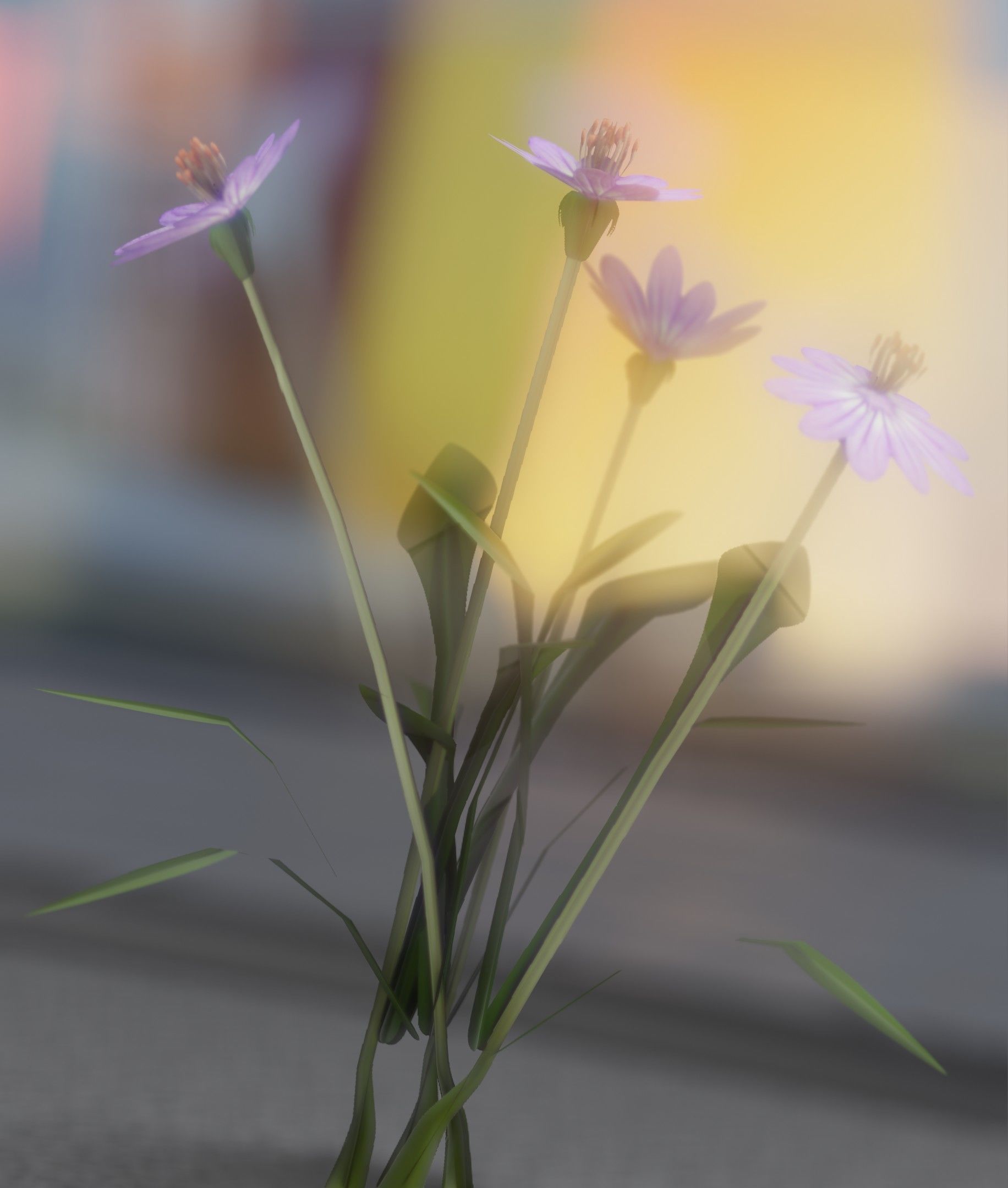 Violet Flowers - Verion 5 - Object 25 Low-poly 3D model_38