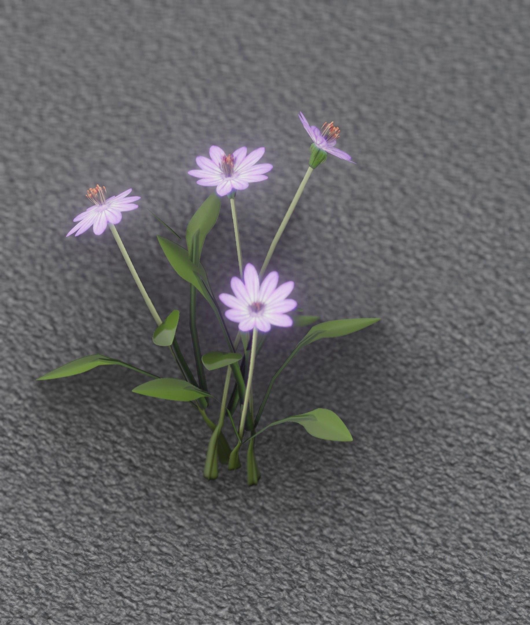 Violet Flowers - Verion 5 - Object 25 Low-poly 3D model_47