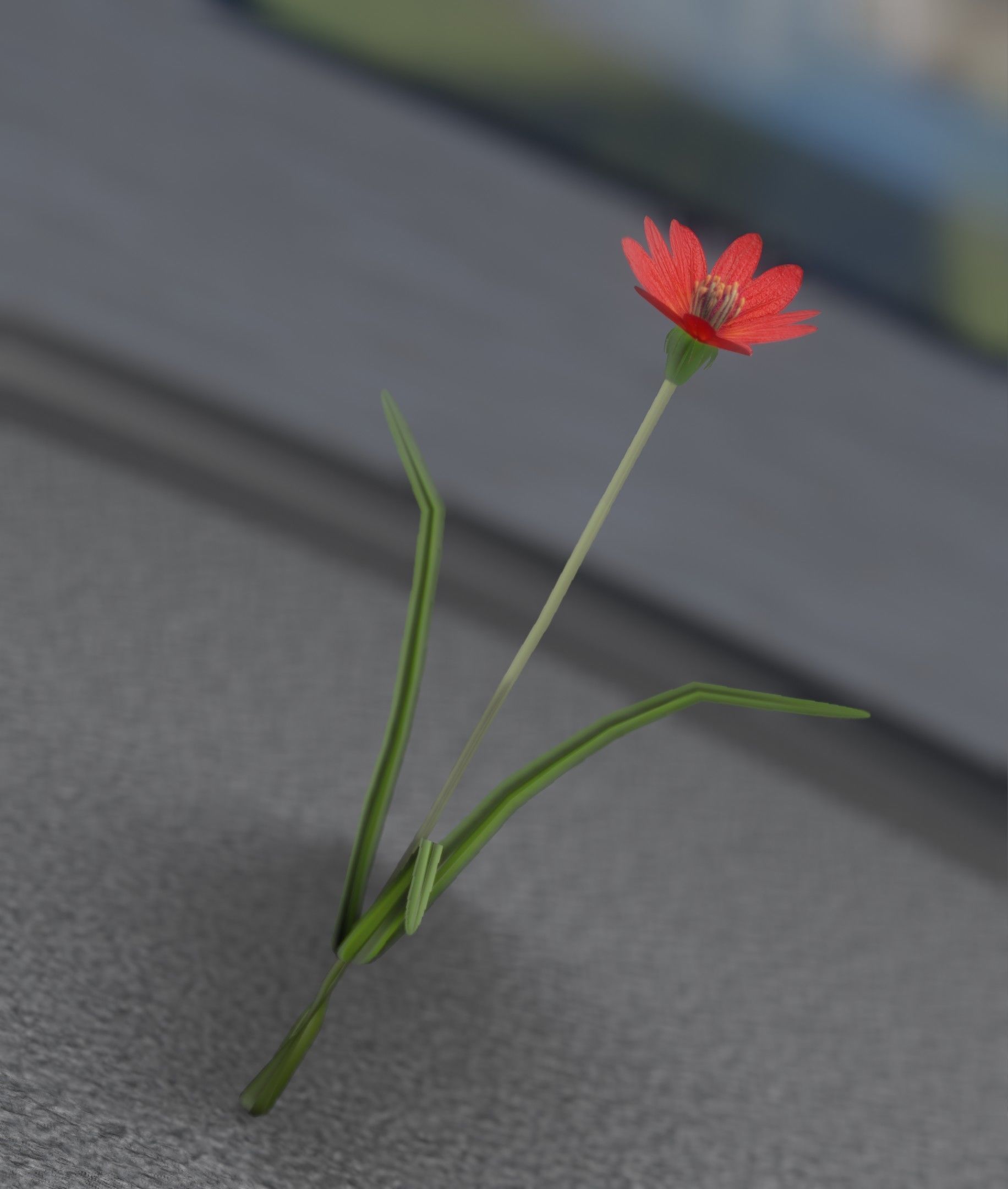 Red Flower - Verion 5 - Object 28 Low-poly 3D model_37