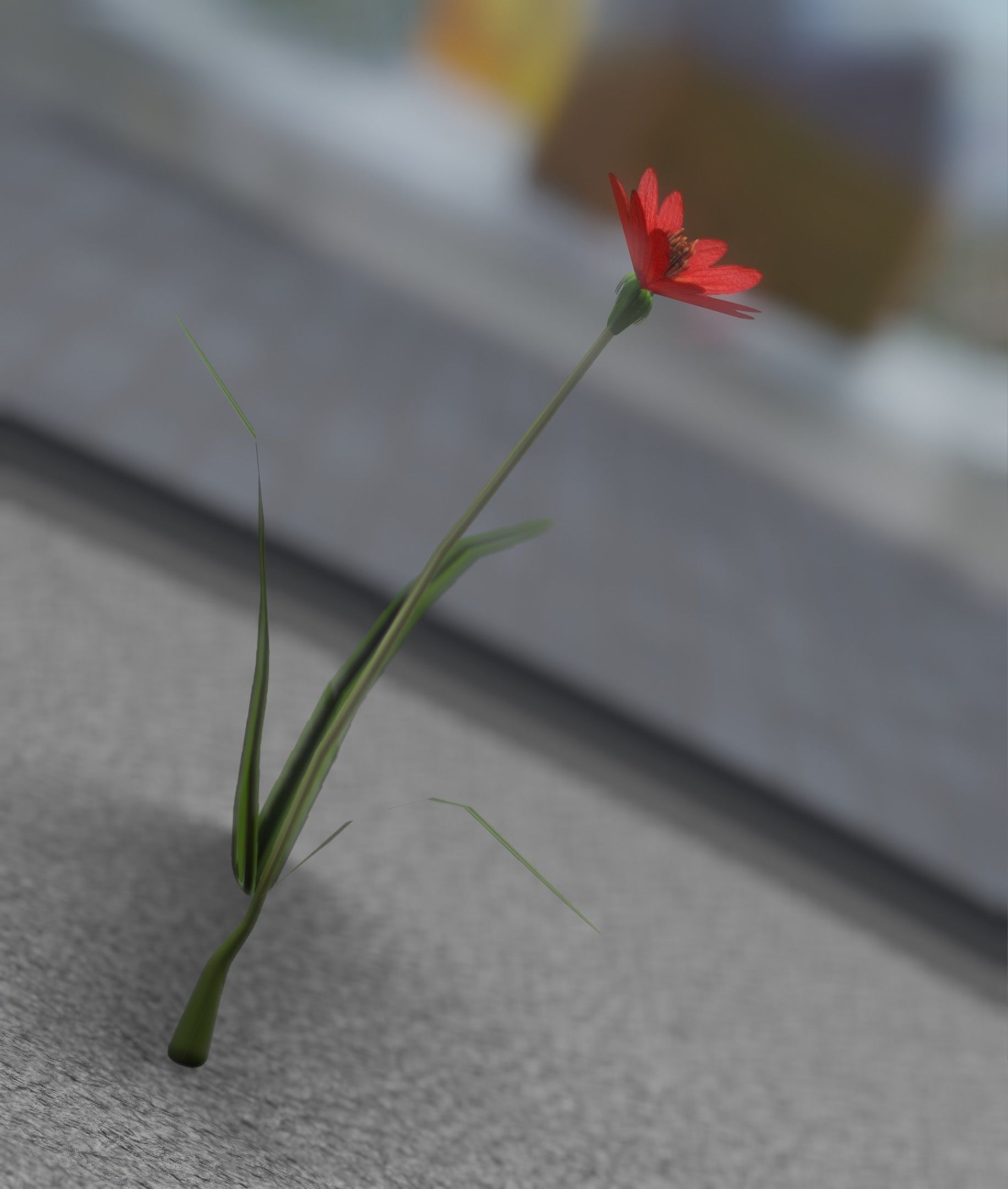 Red Flower - Verion 5 - Object 28 Low-poly 3D model_34